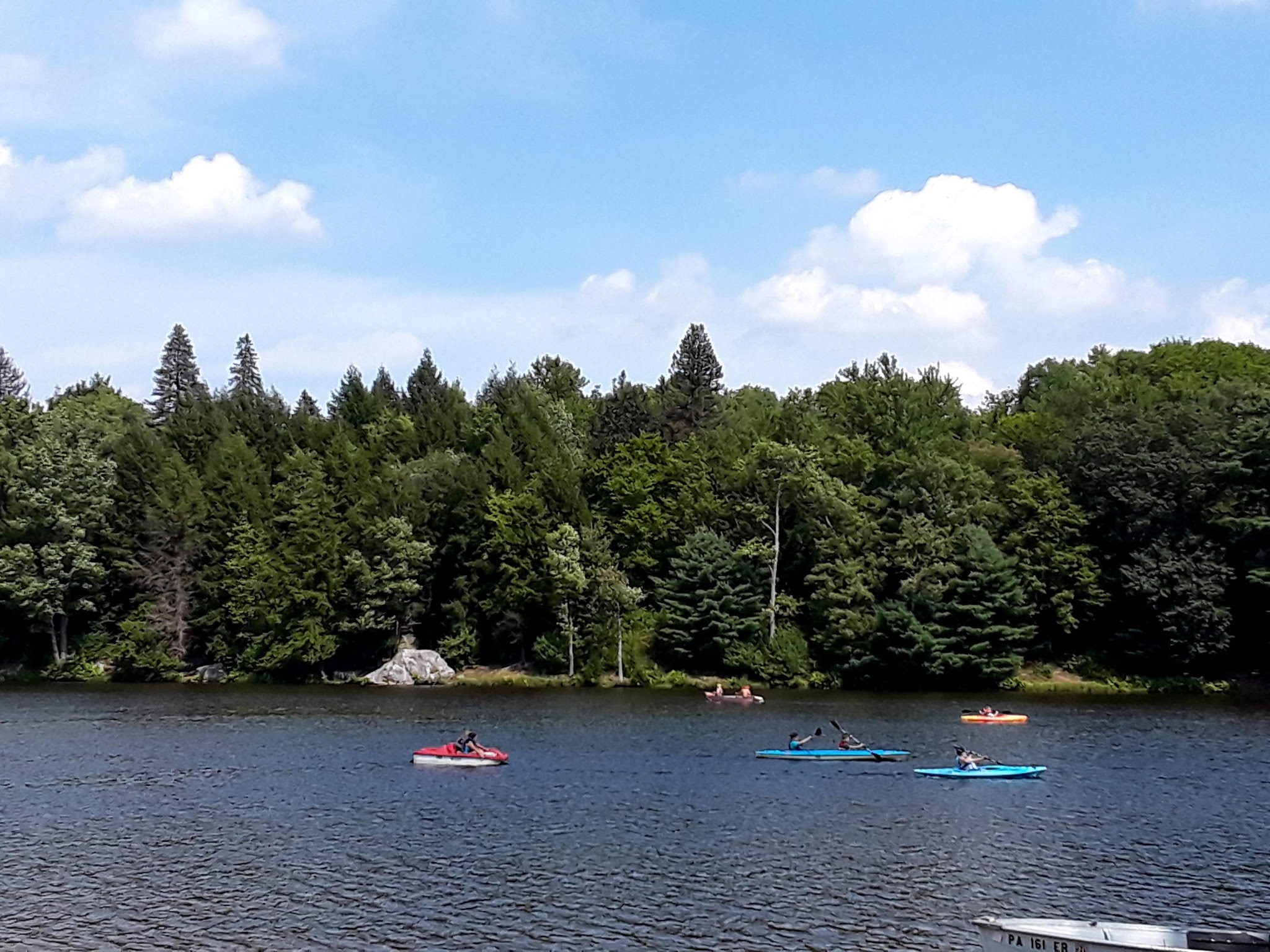 Simon B Elliott State Park