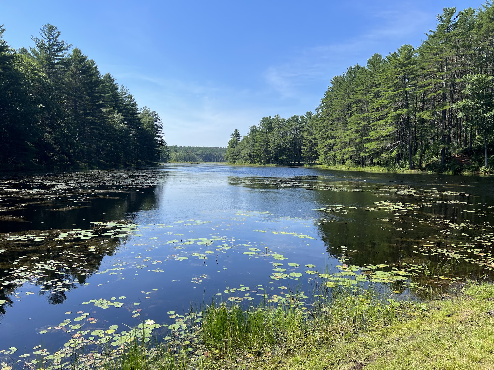 Wendell State Forest