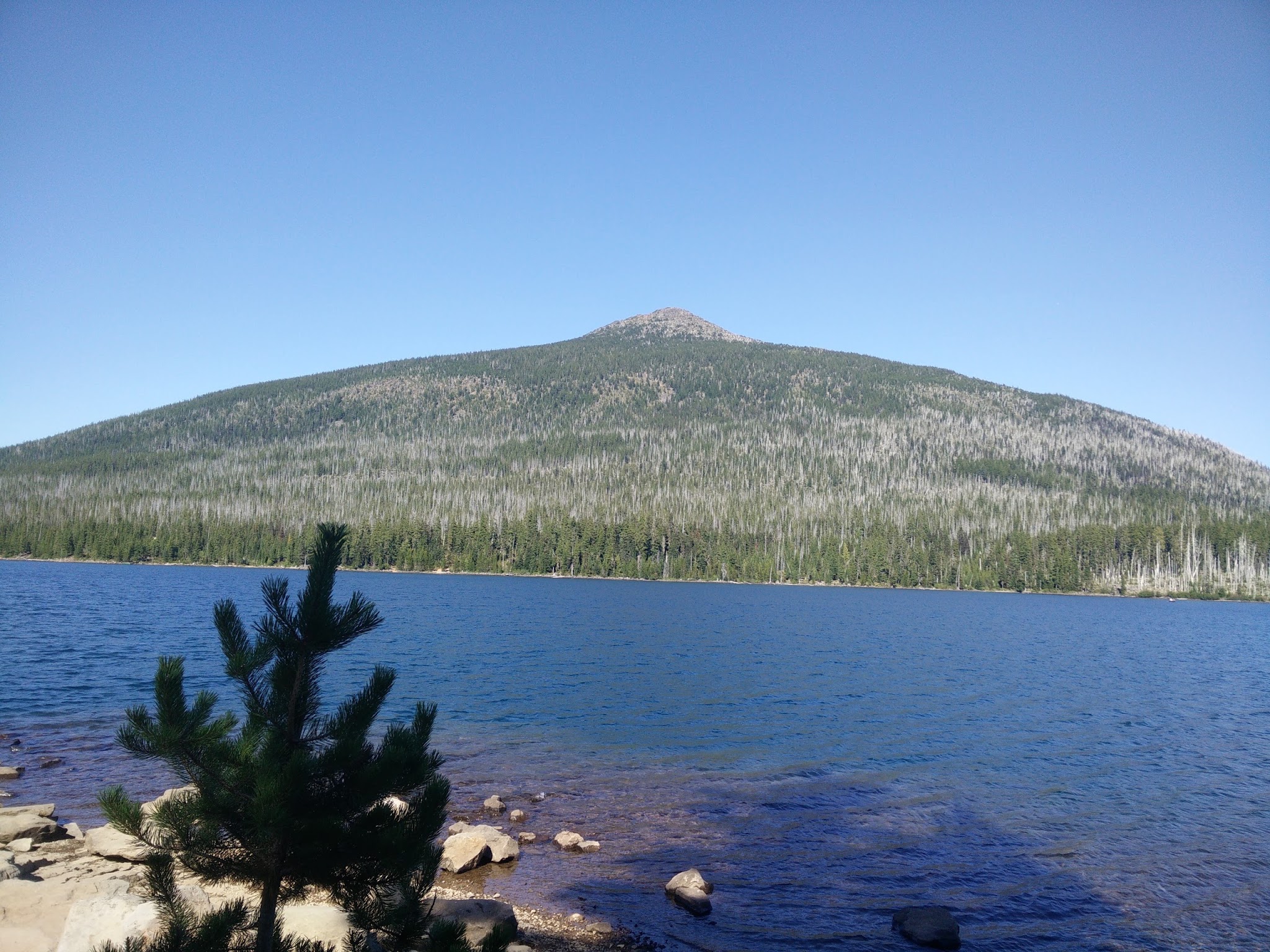 Camp Ten (Olallie Lake) Campground