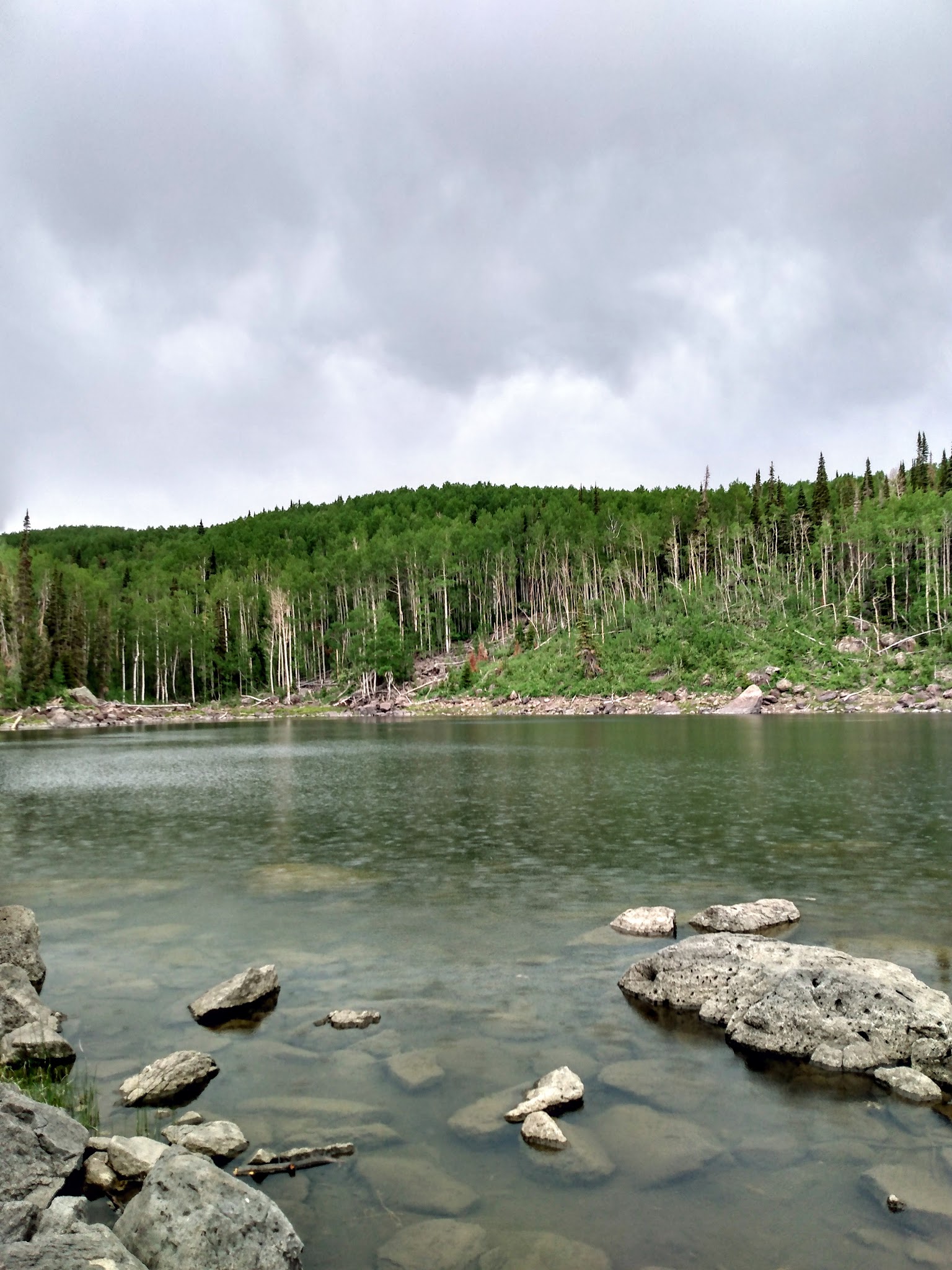 Salina Reservoir Cua Dispersed