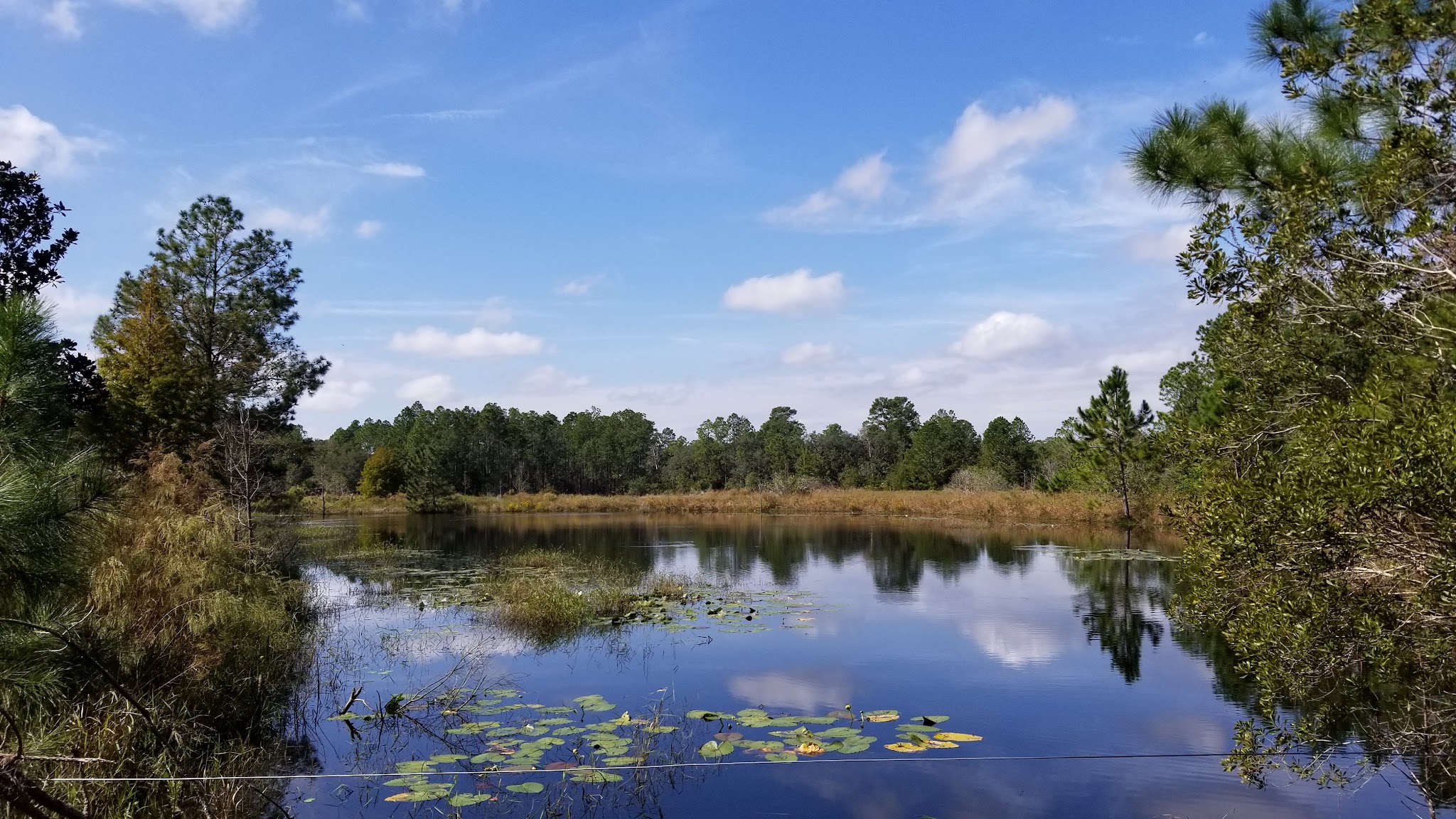 Seminole State Forest Primitive Campsites