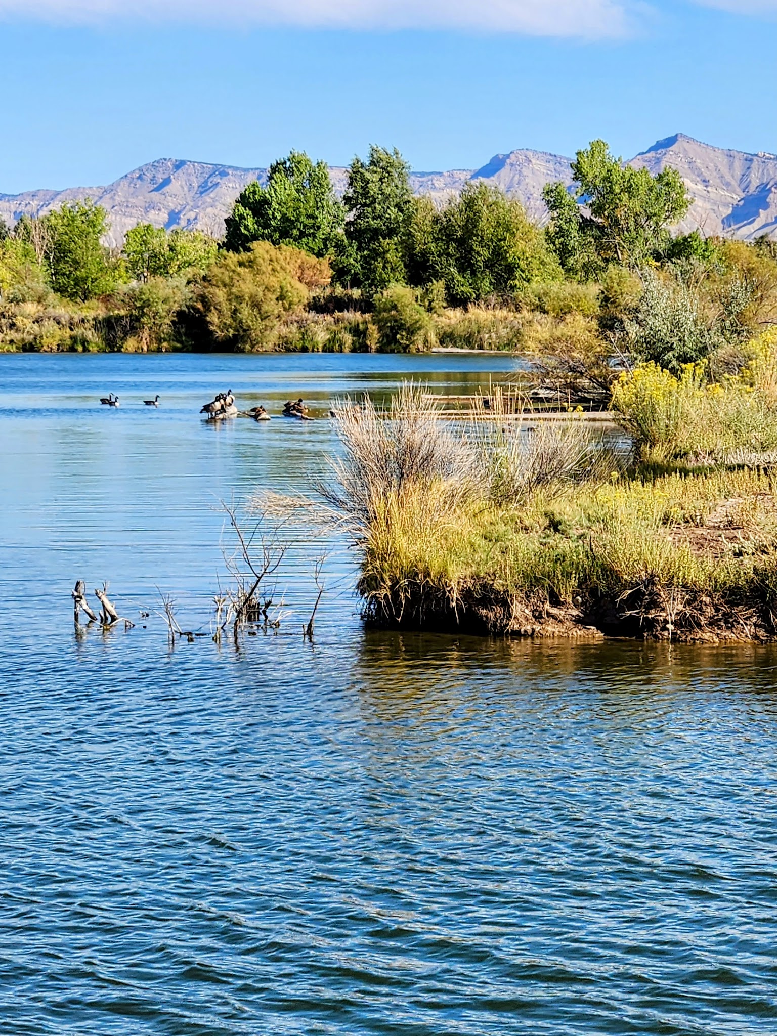 James M Robb-Colorado River State Park-Fruita Section