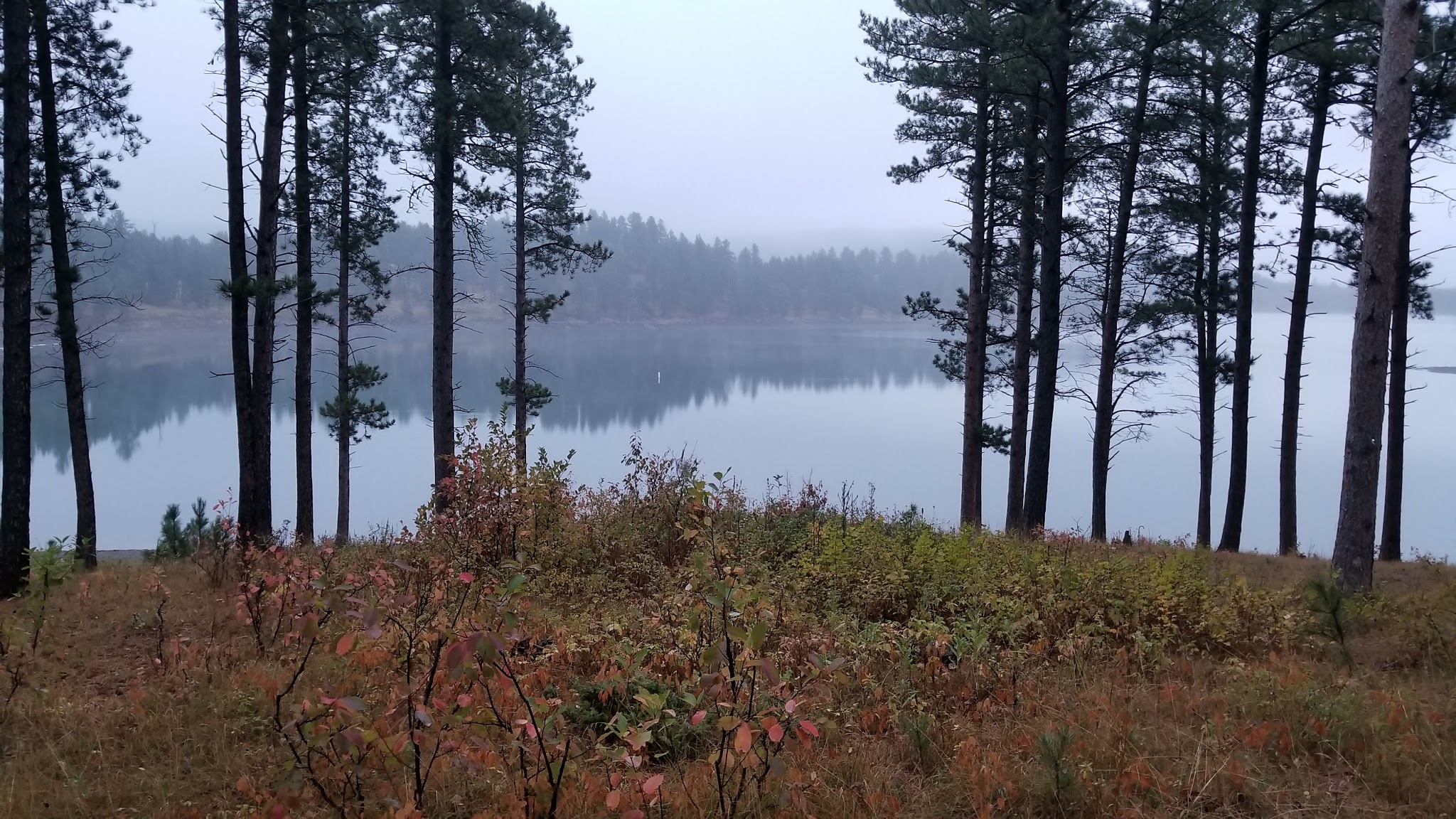 Pactola Reservoir Campground