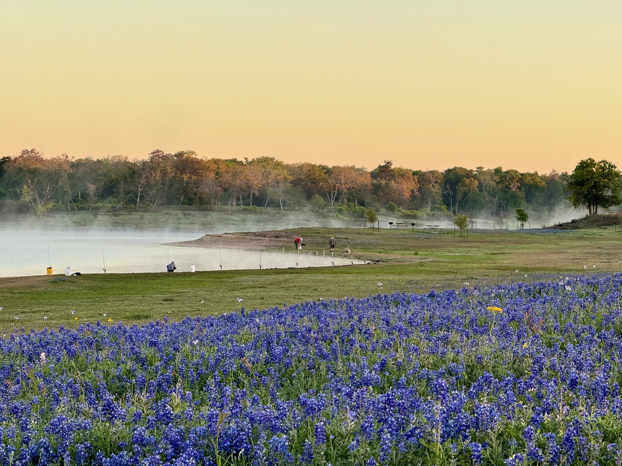 Lake Somerville State Park Birch Creek
