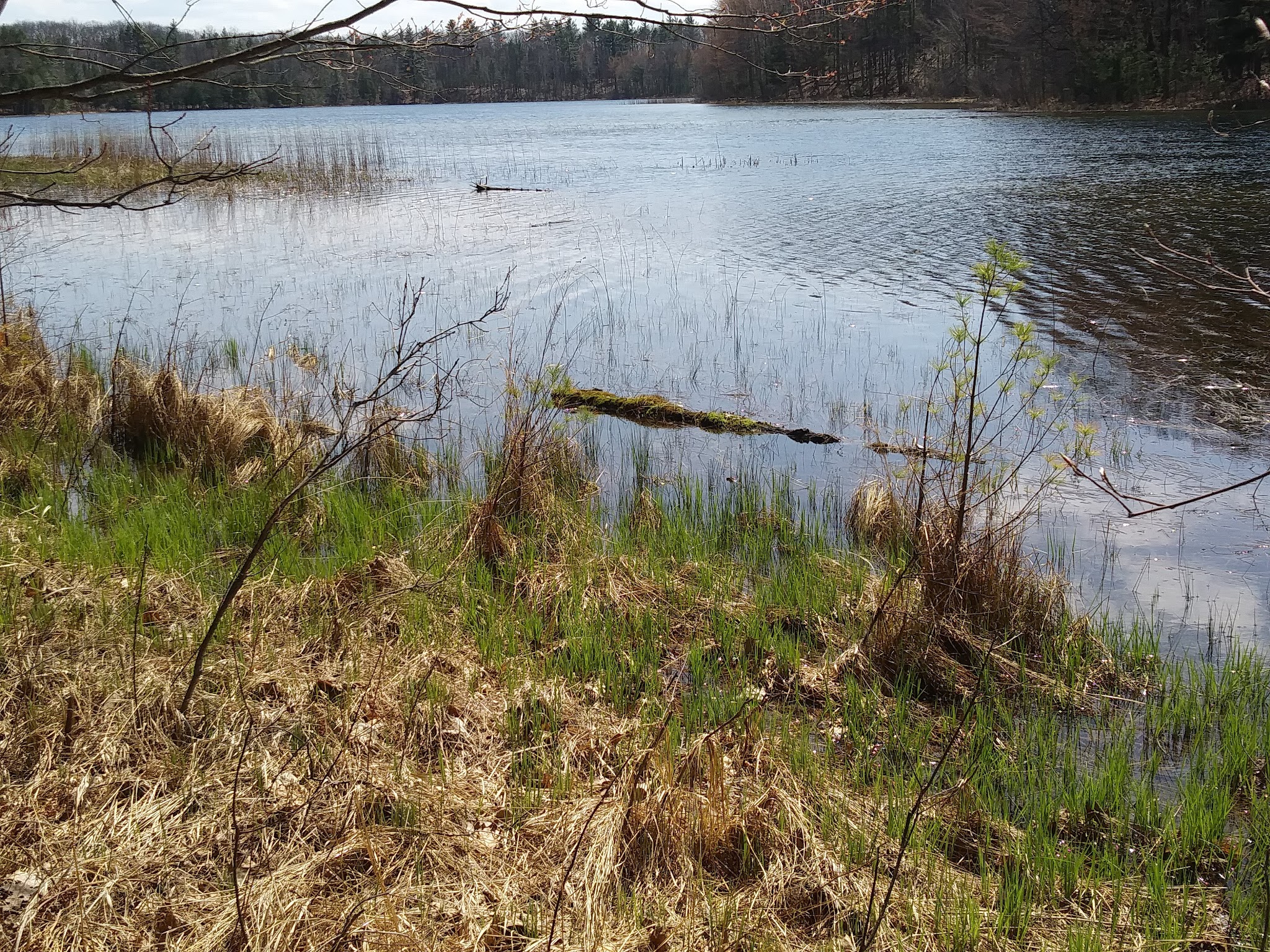 Guernsey Lake State Forest Campground