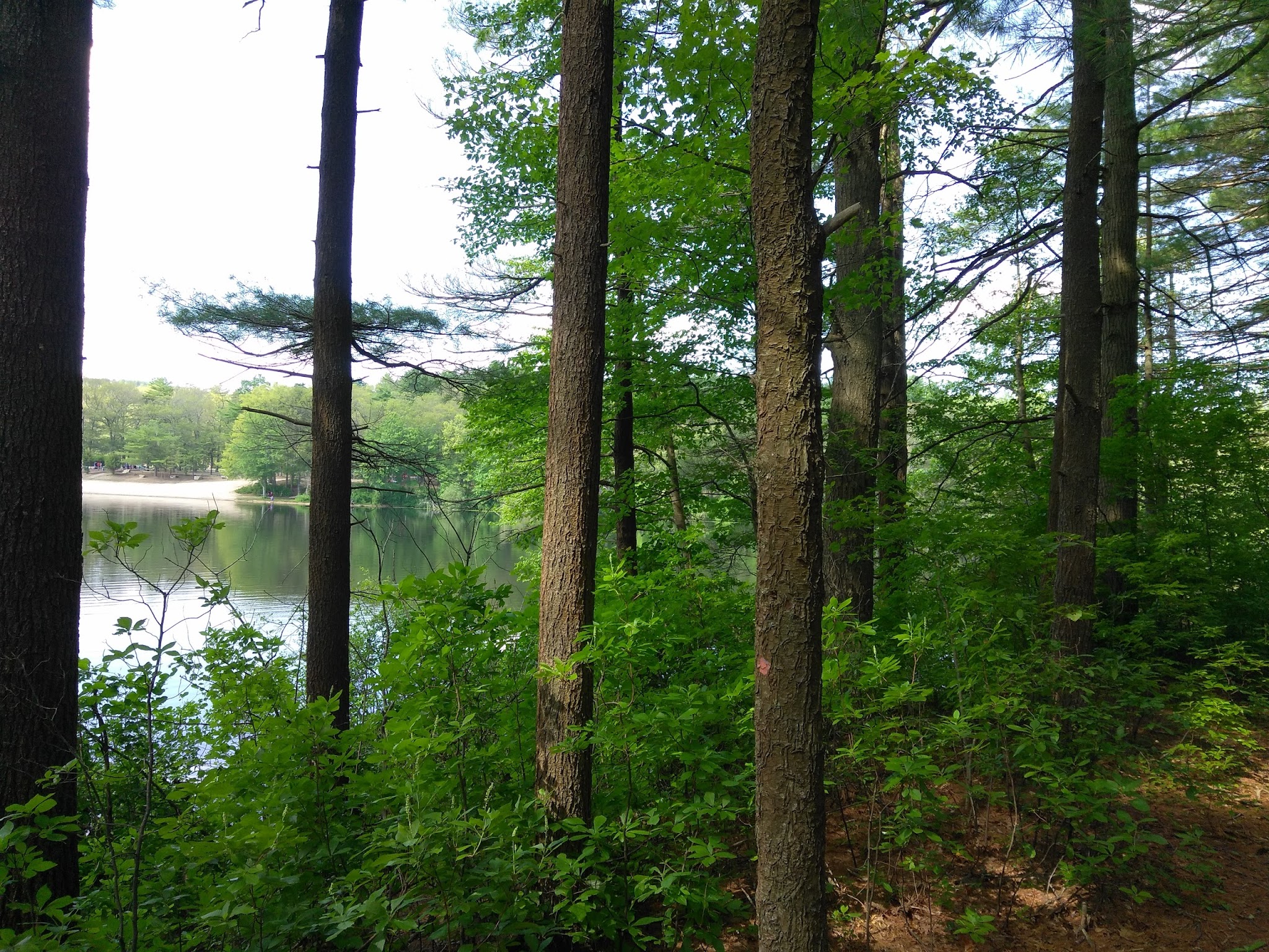 Houghton&Apos;S Pond Recreation Area