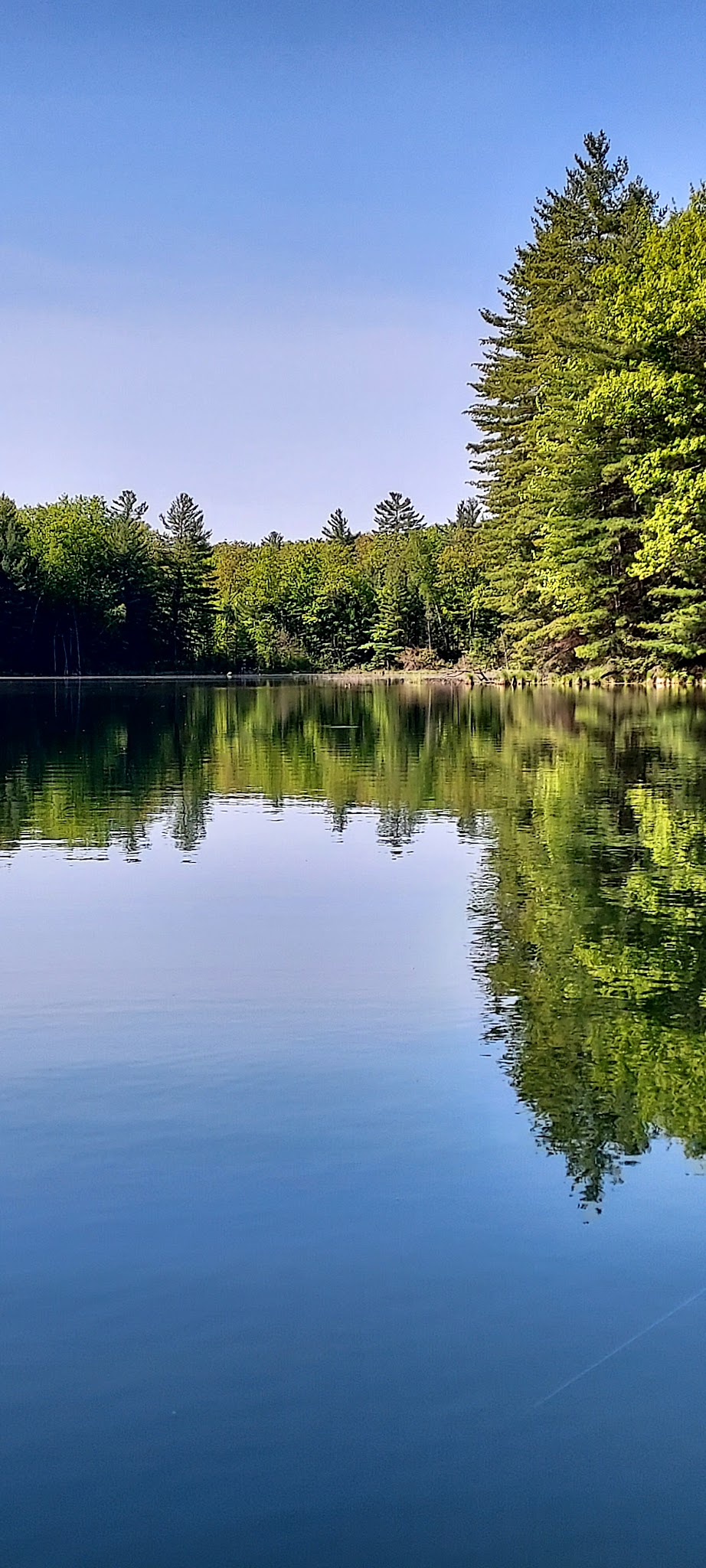 House Lake State Forest Campground