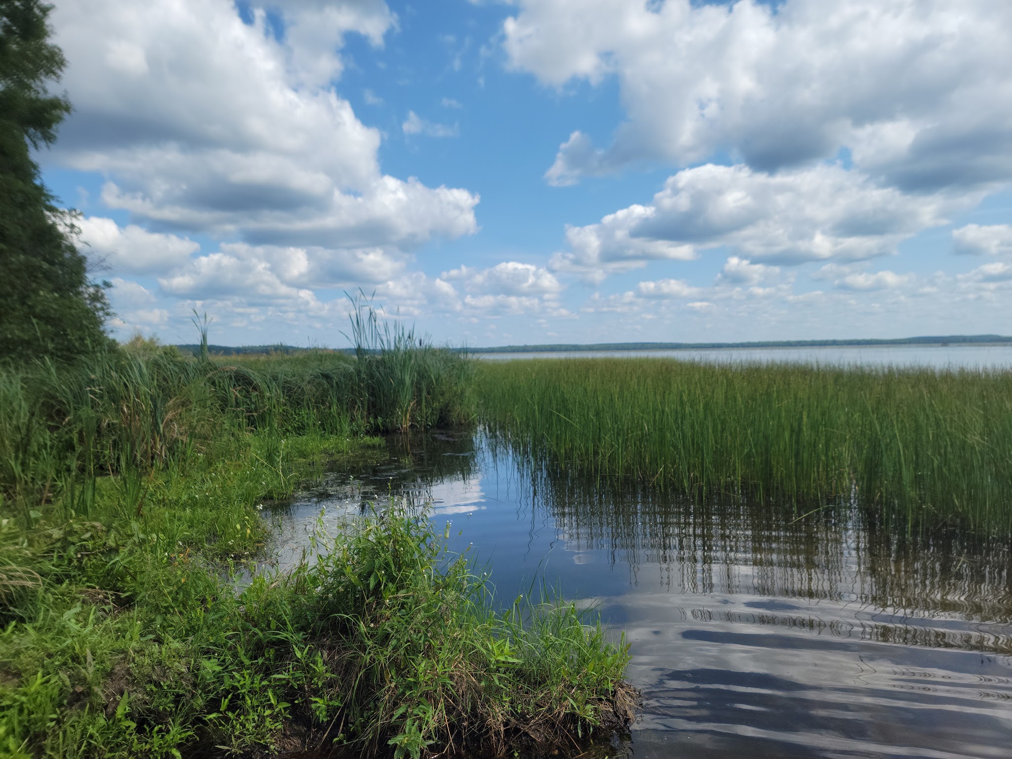 Lac Vieux Desert Recreation Area