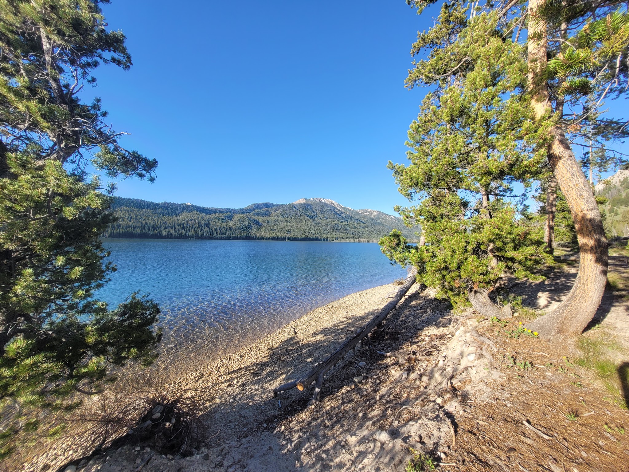 Smokey Bear Campground