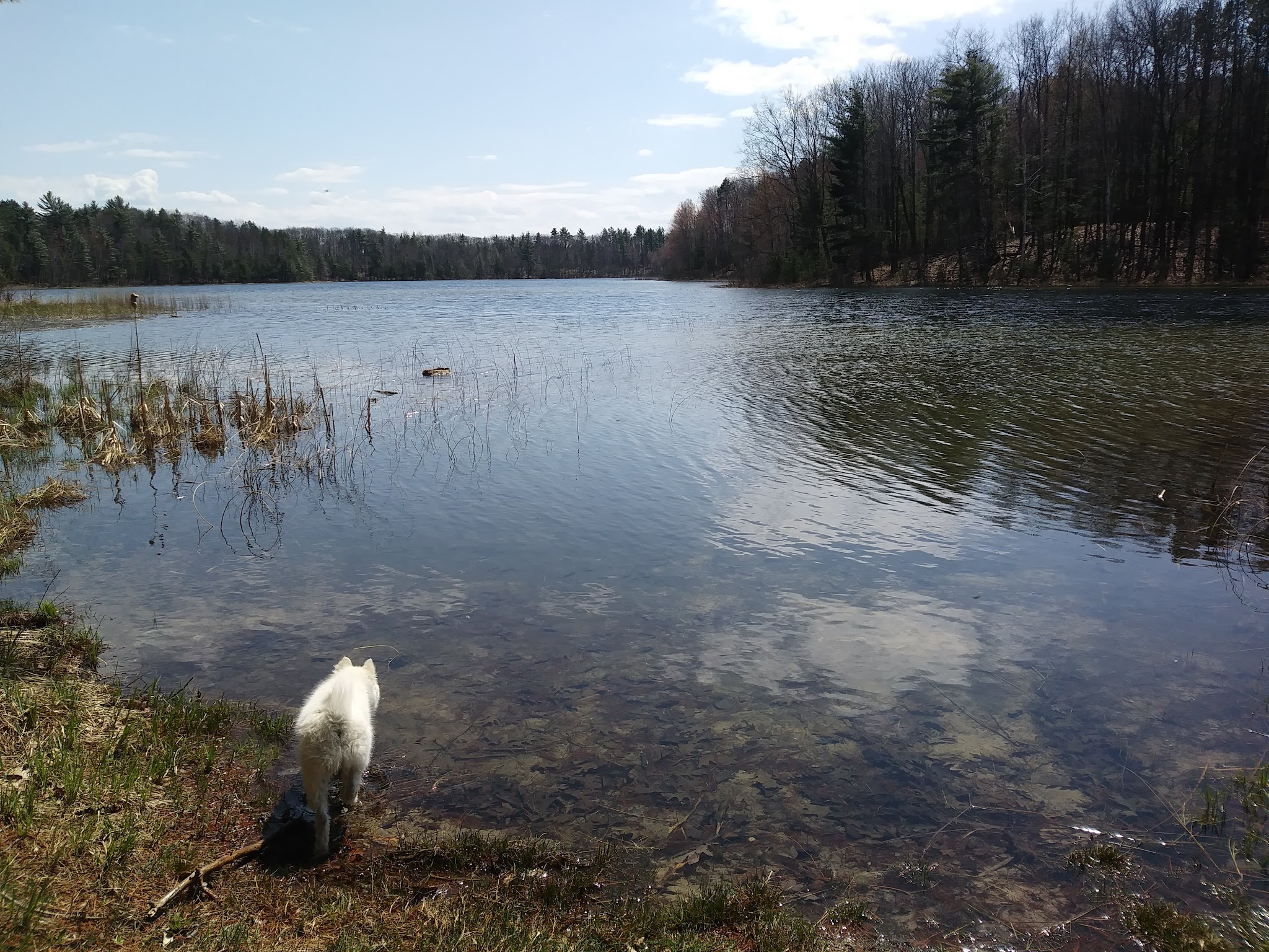 Guernsey Lake State Forest Campground