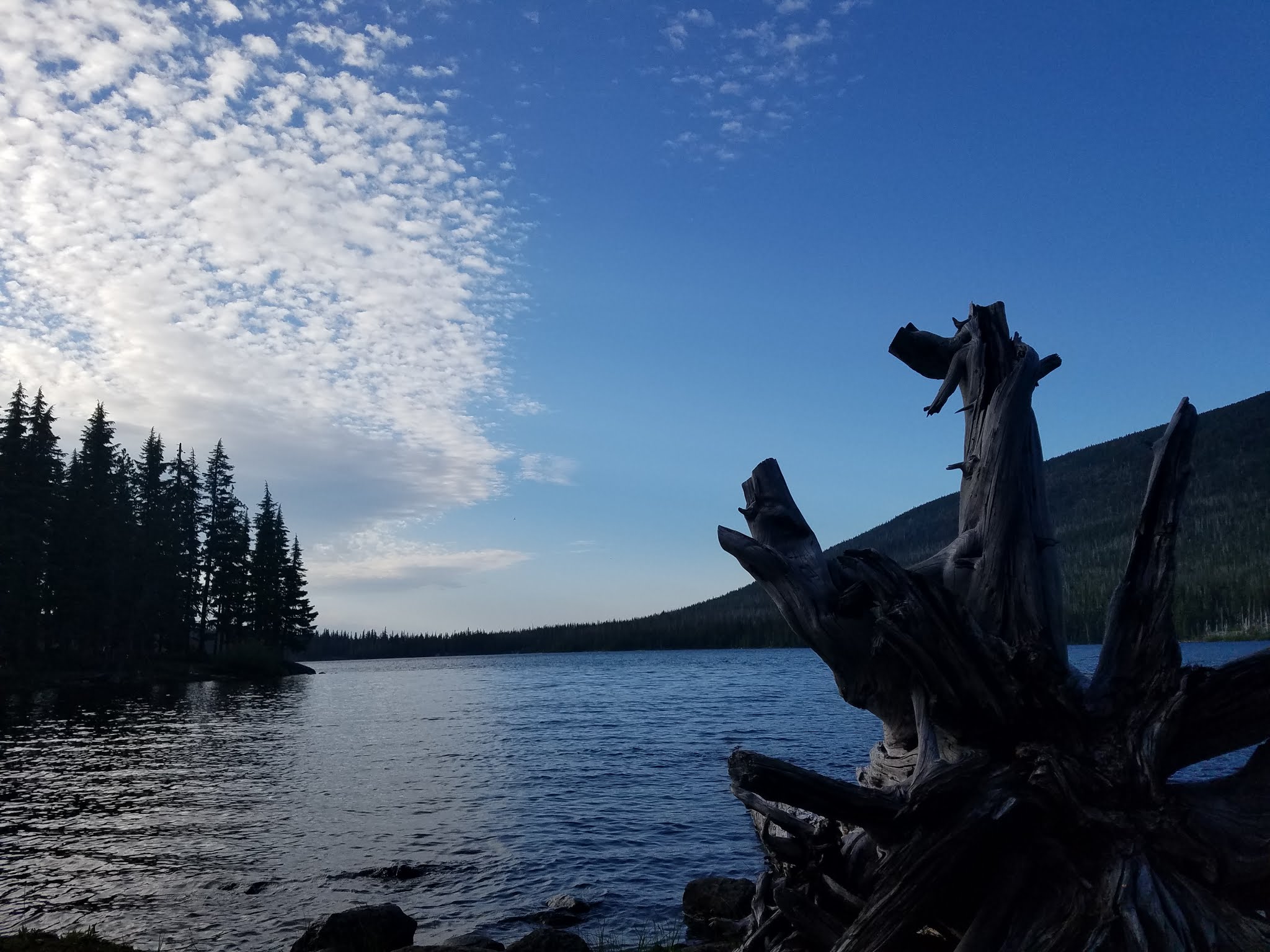 Camp Ten (Olallie Lake) Campground