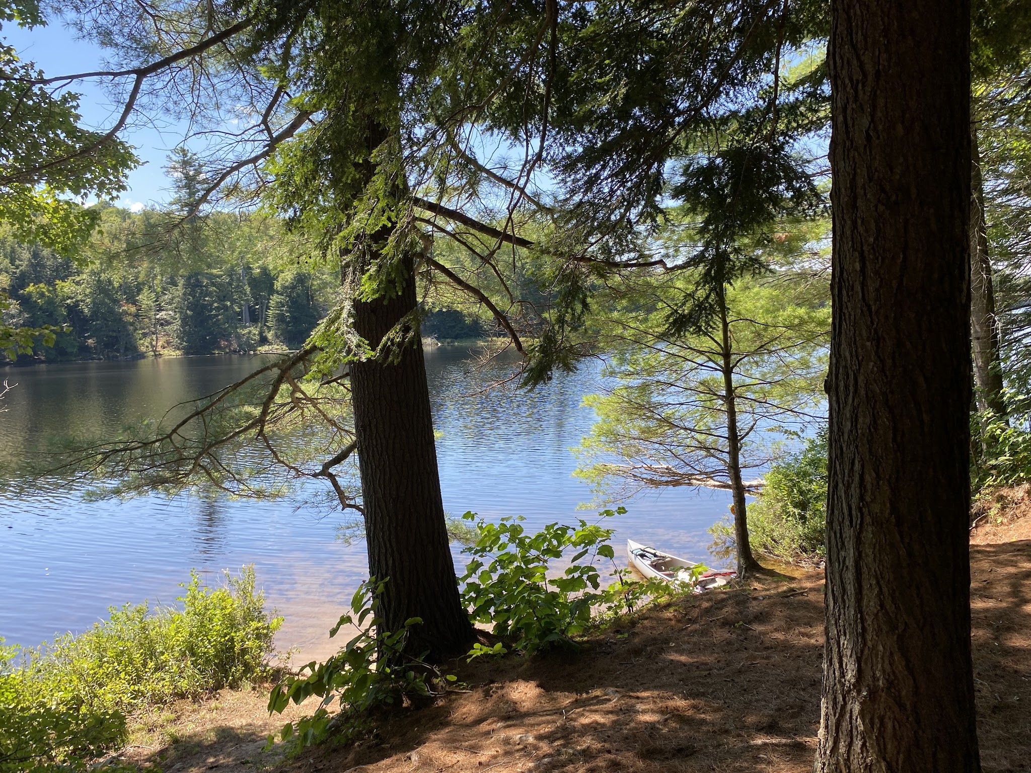 Rollins Pond Campground