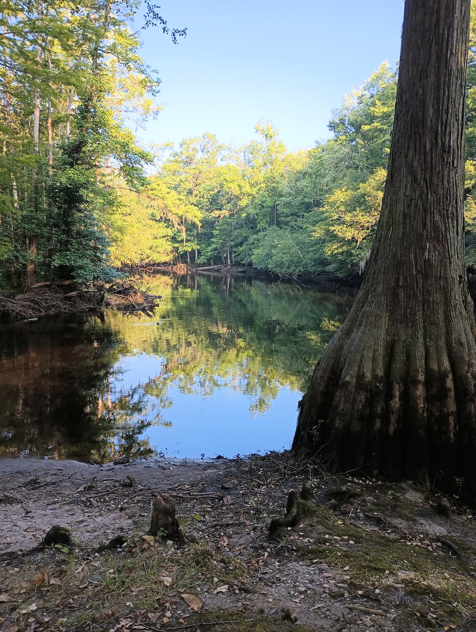 Lumber River State Park