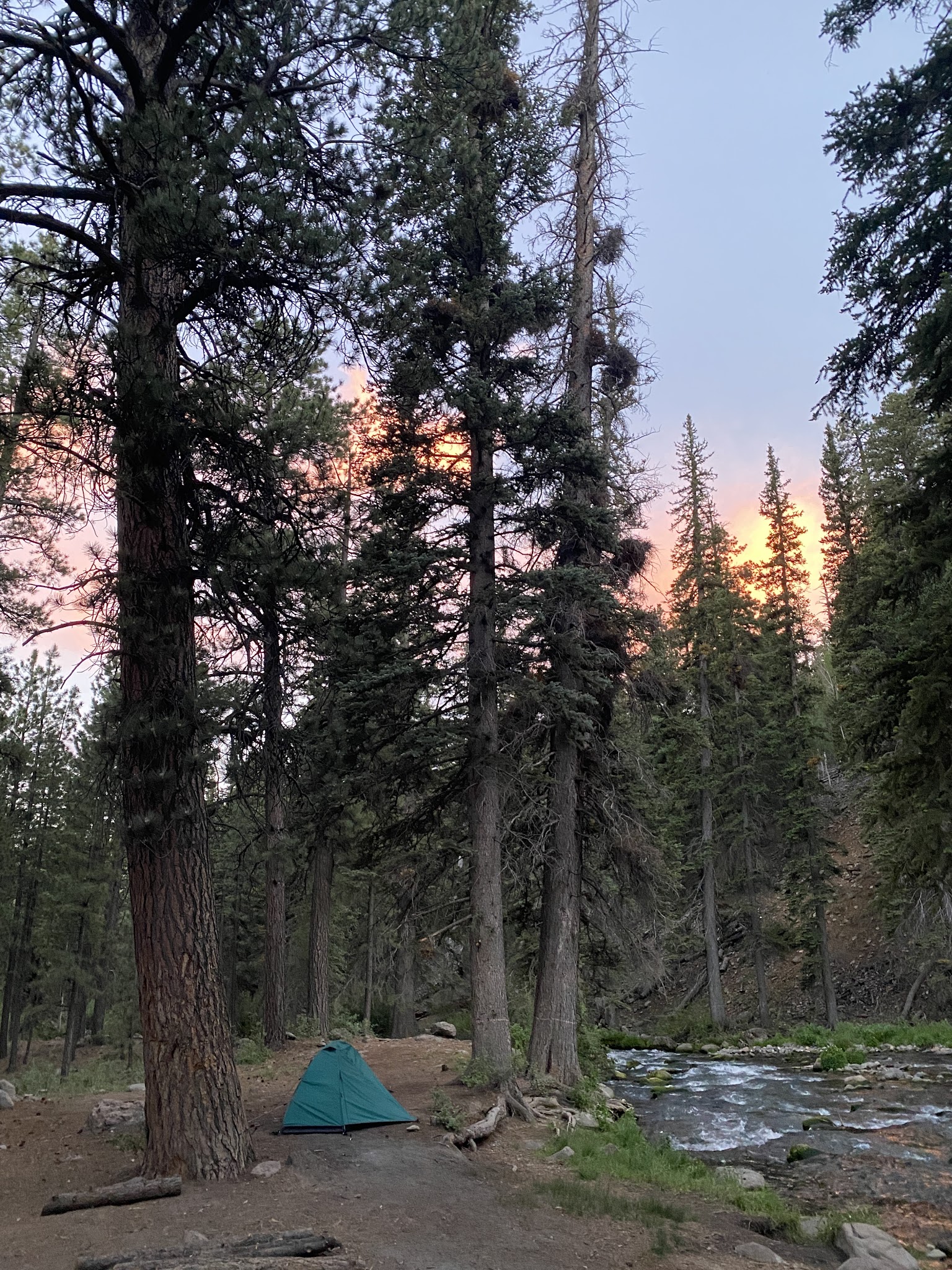 Mammoth Designated Dispersed Camping Area