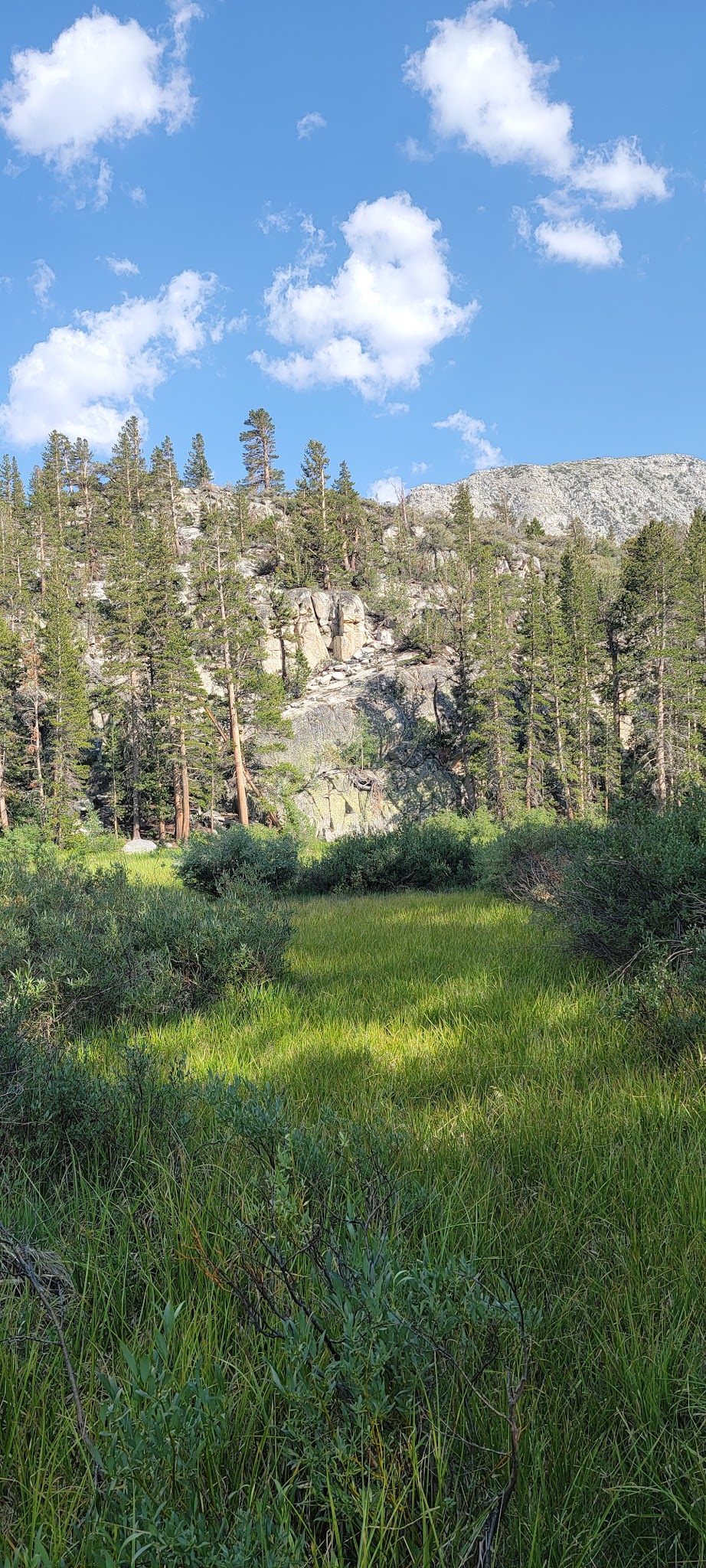 East Fork Campground