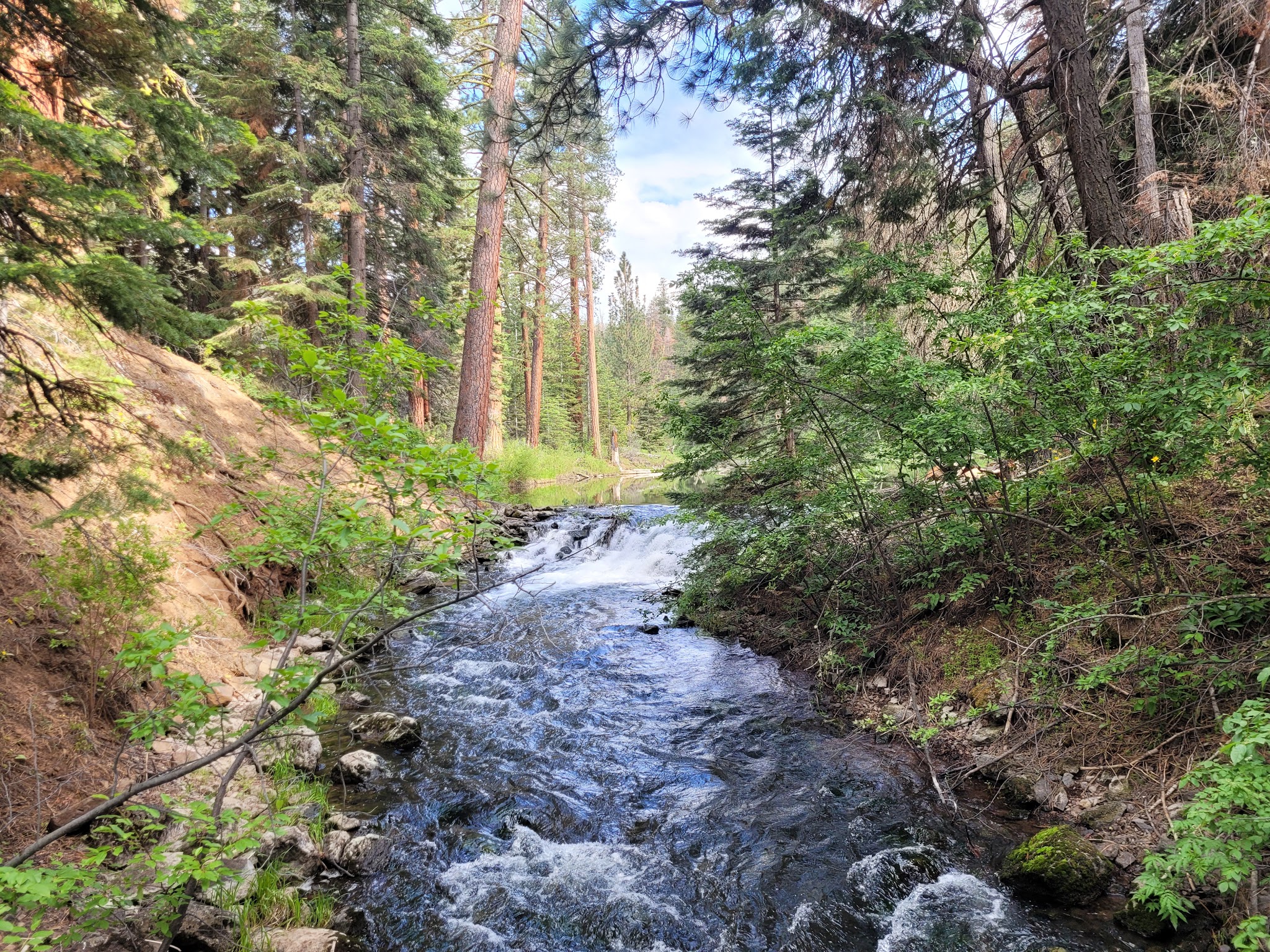 Mill Creek Falls Campground