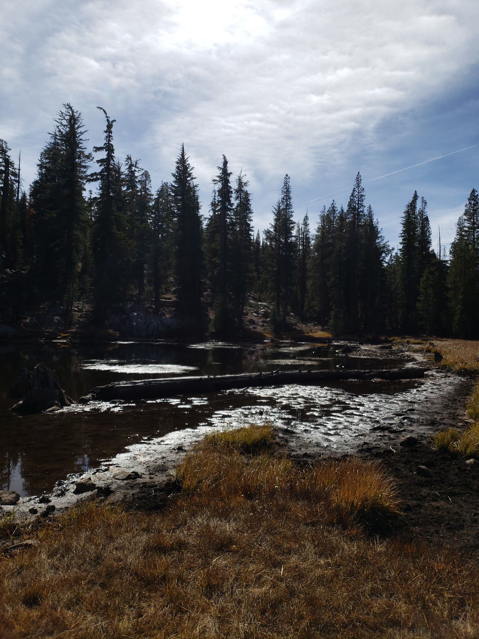 Mosquito Lakes Campground