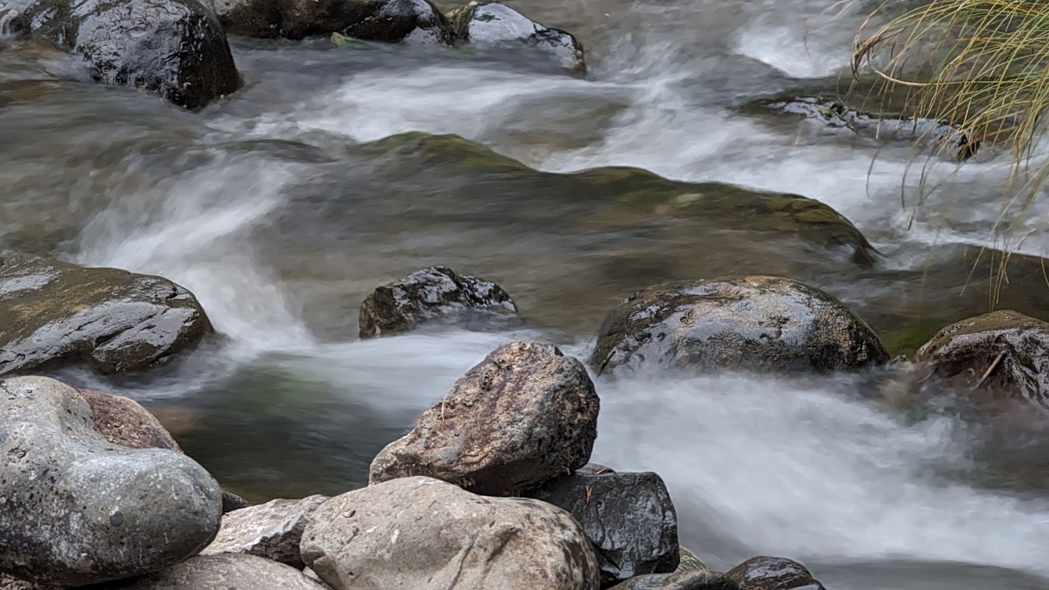 Tollbridge Campground