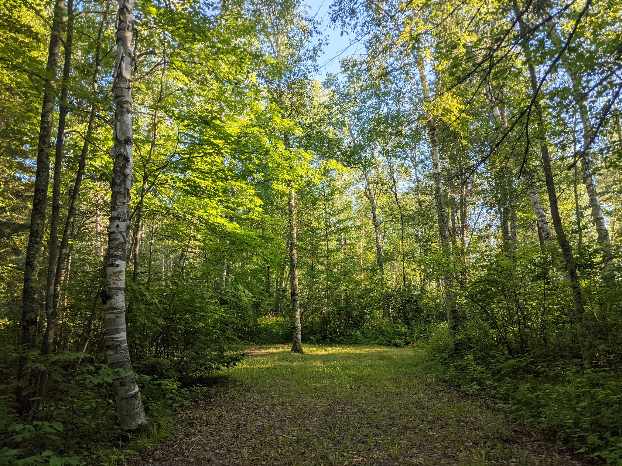 Noma Lake Campground