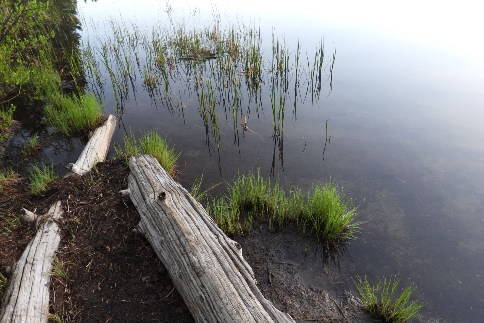 Campground: Olallie Lake