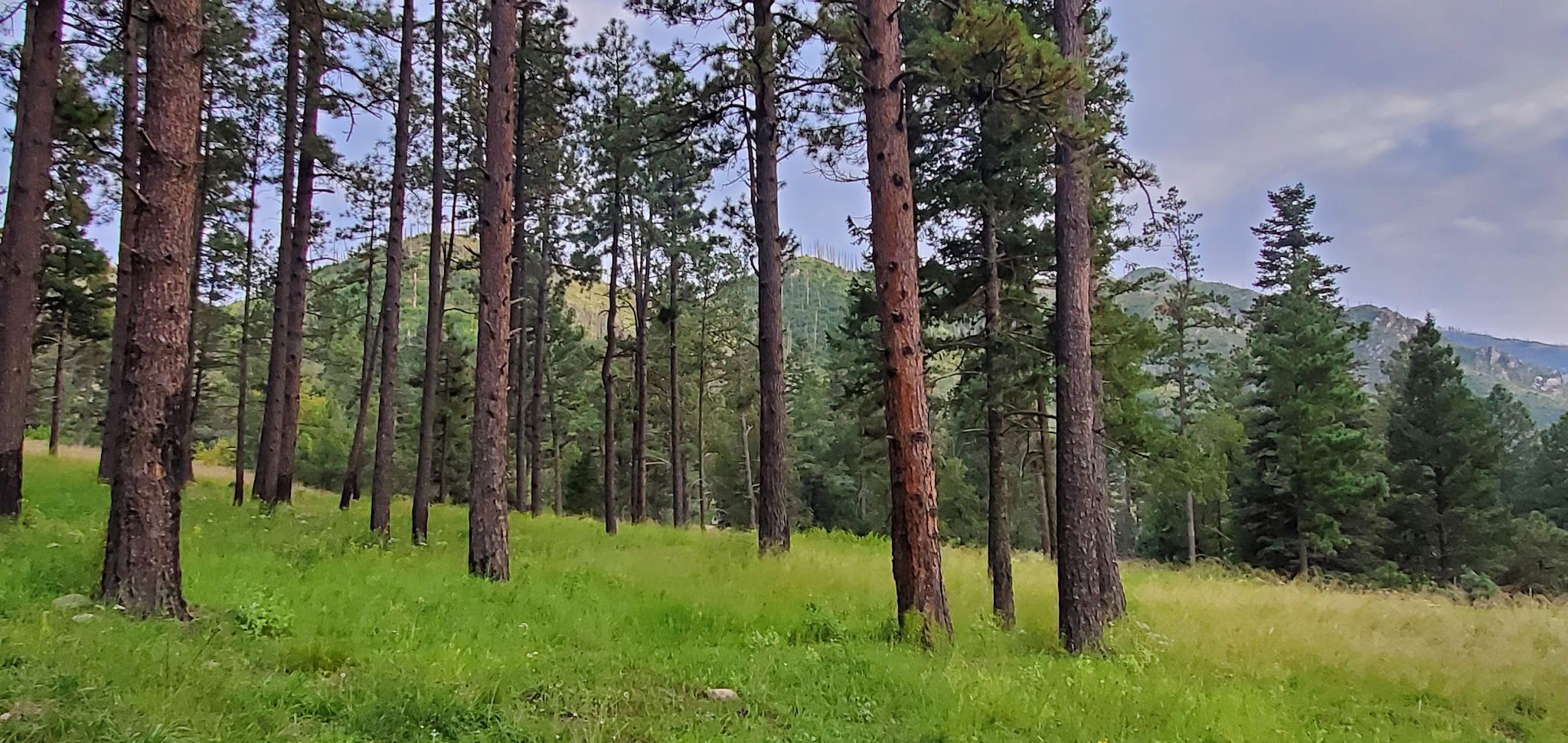 South Fork Campground