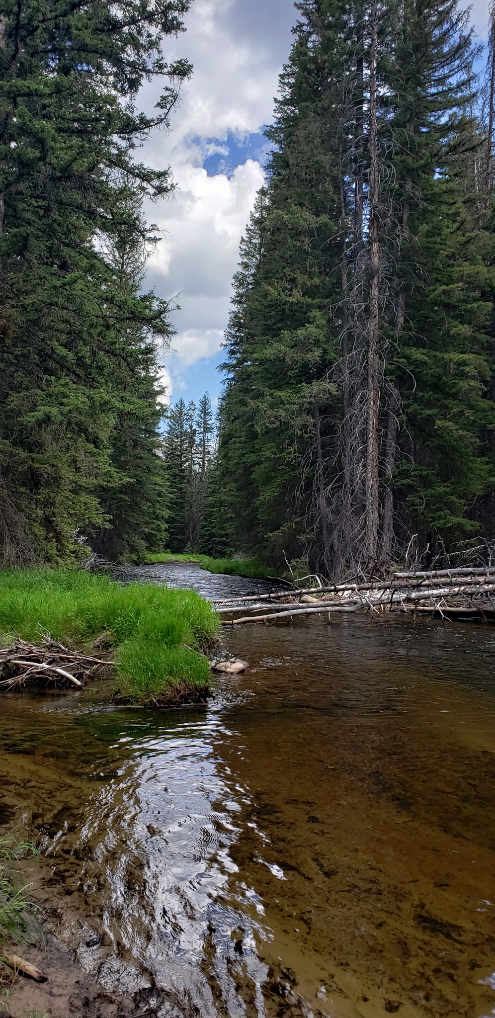 Fourth Of July Campground
