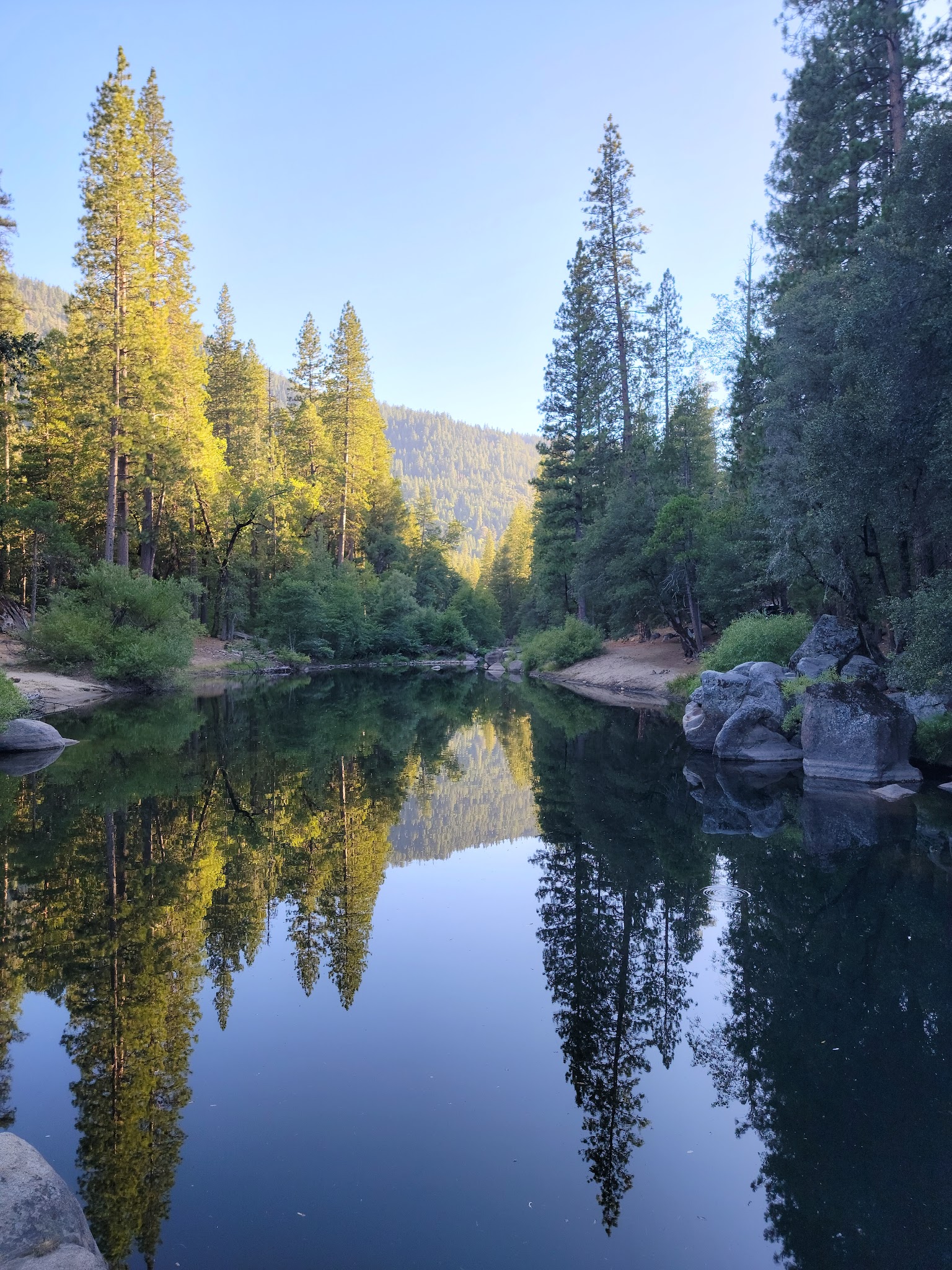 White Azalea Campground