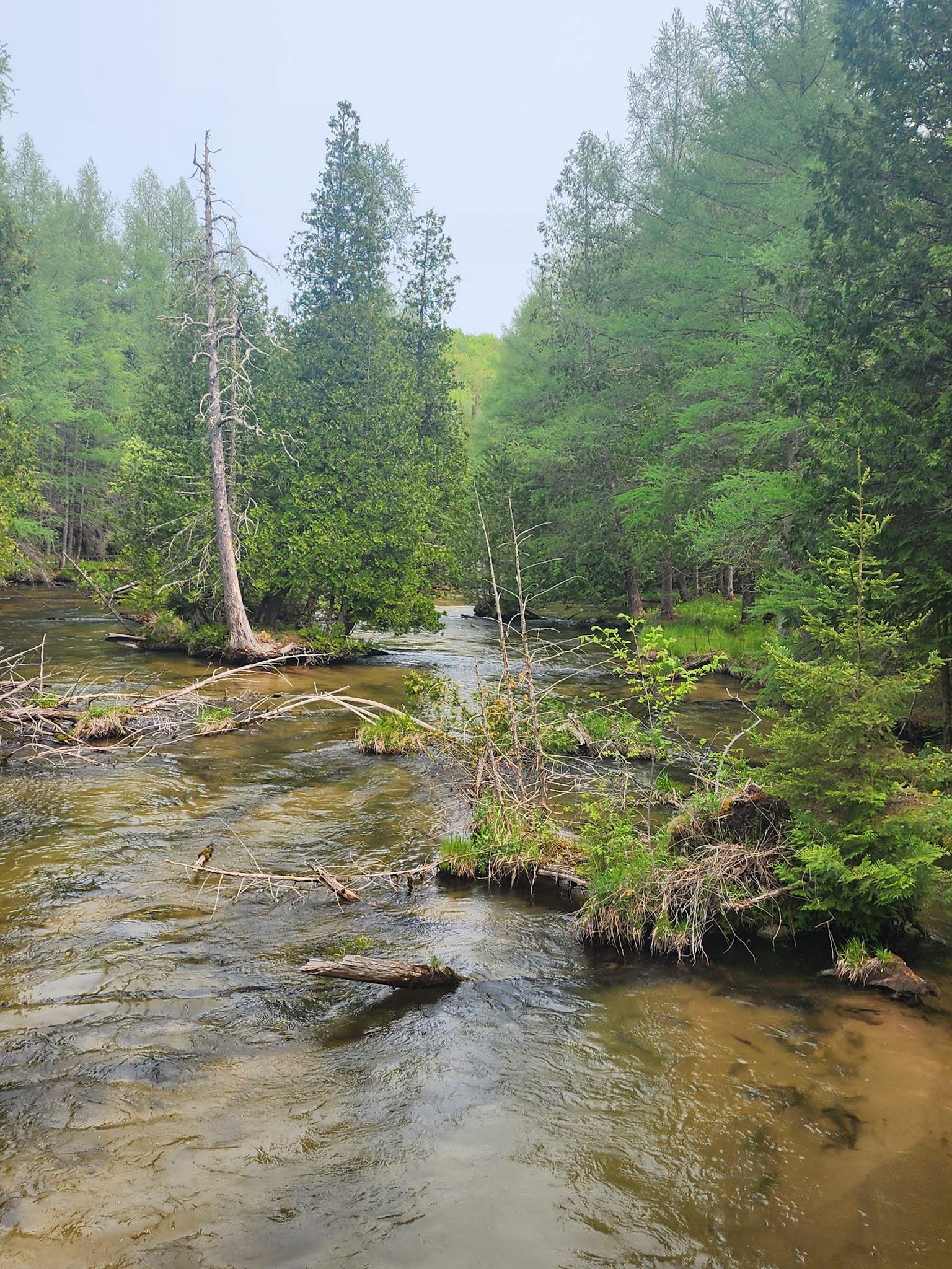 Pinney Bridge State Forest Campground