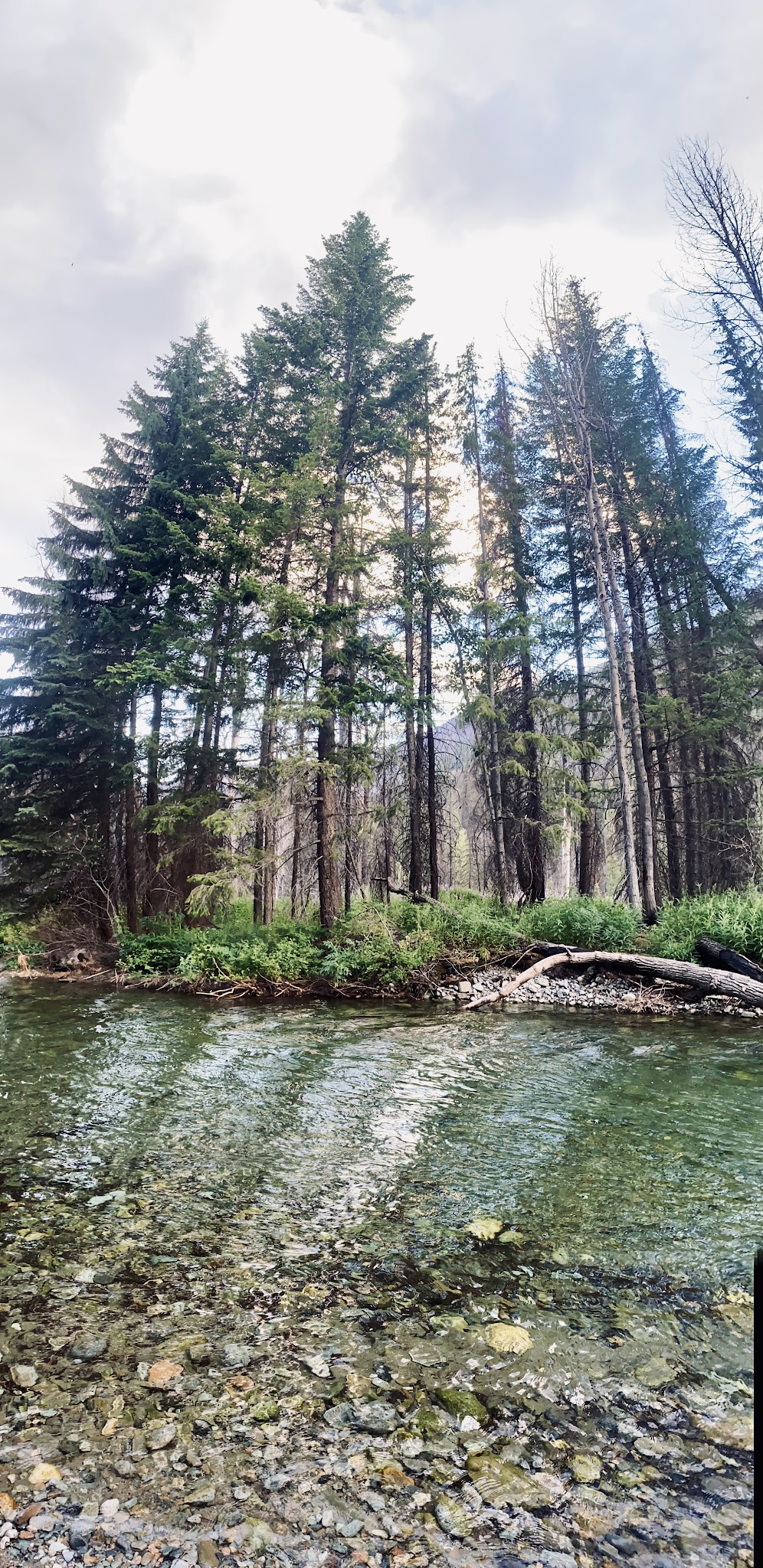 Poplar Flat Campground