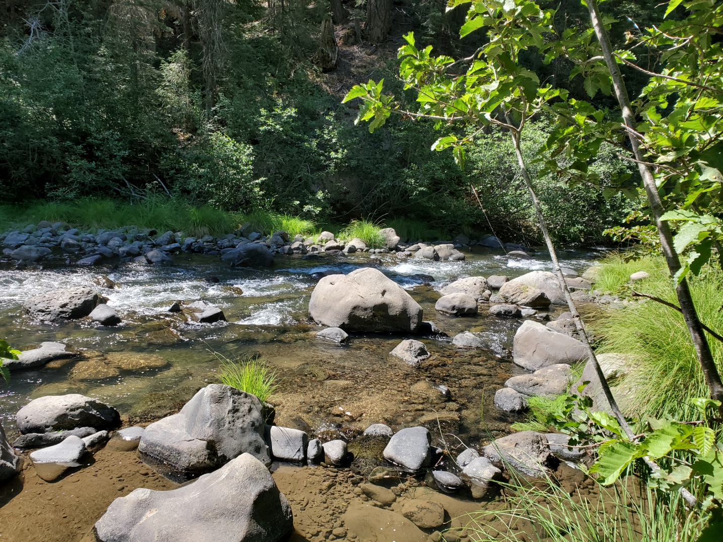 Hole-In-The-Ground Campground