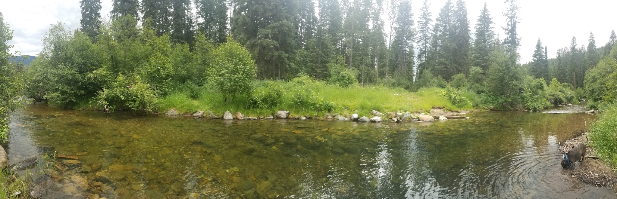 Timberlane Campground