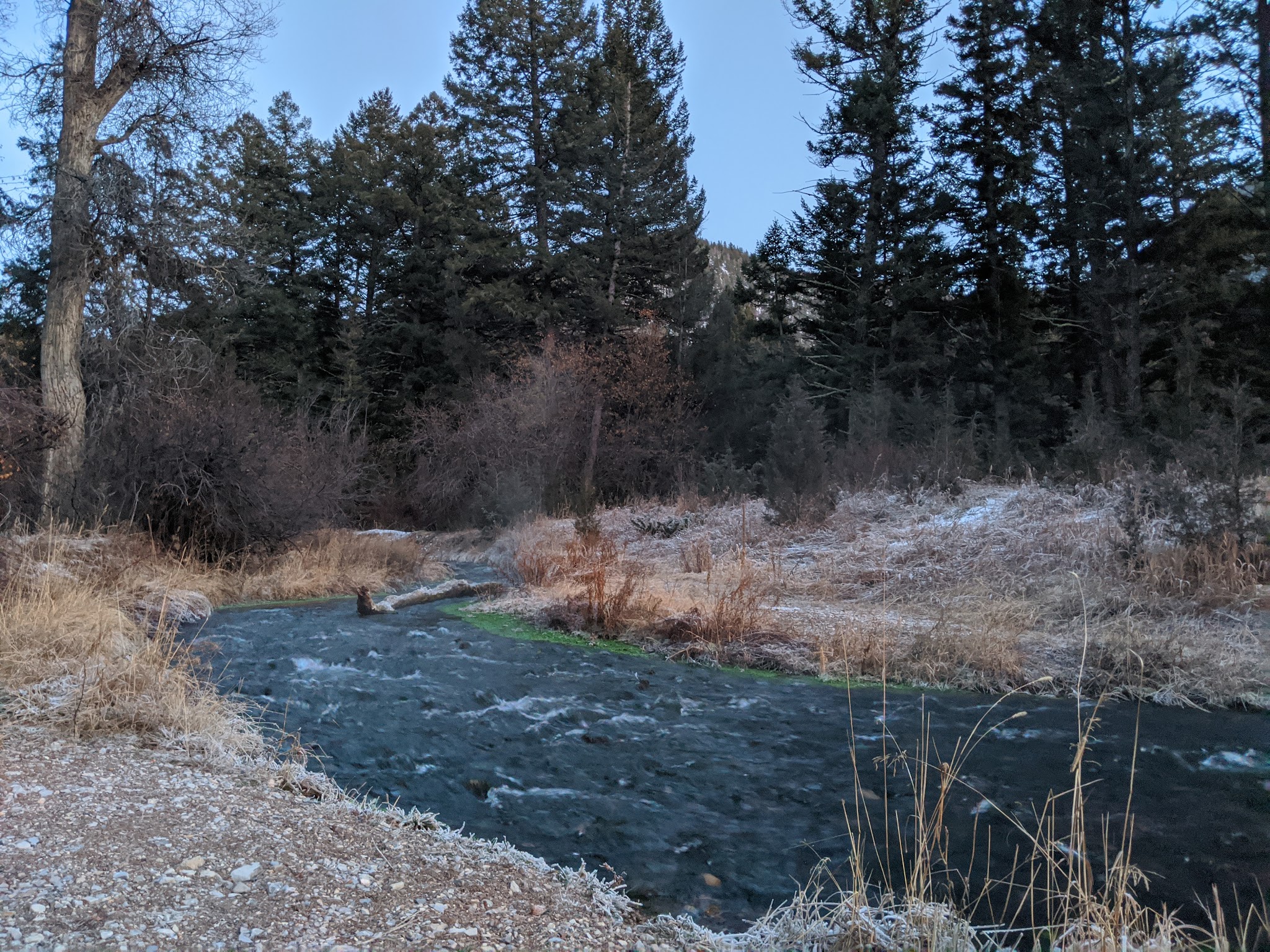 Vigilante Campground