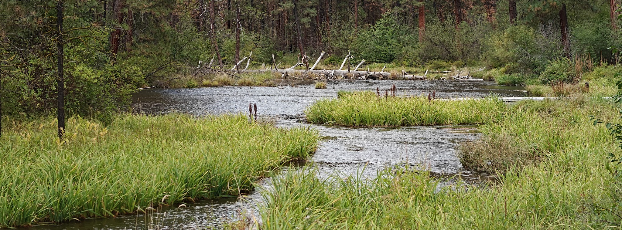 Riverside Campground