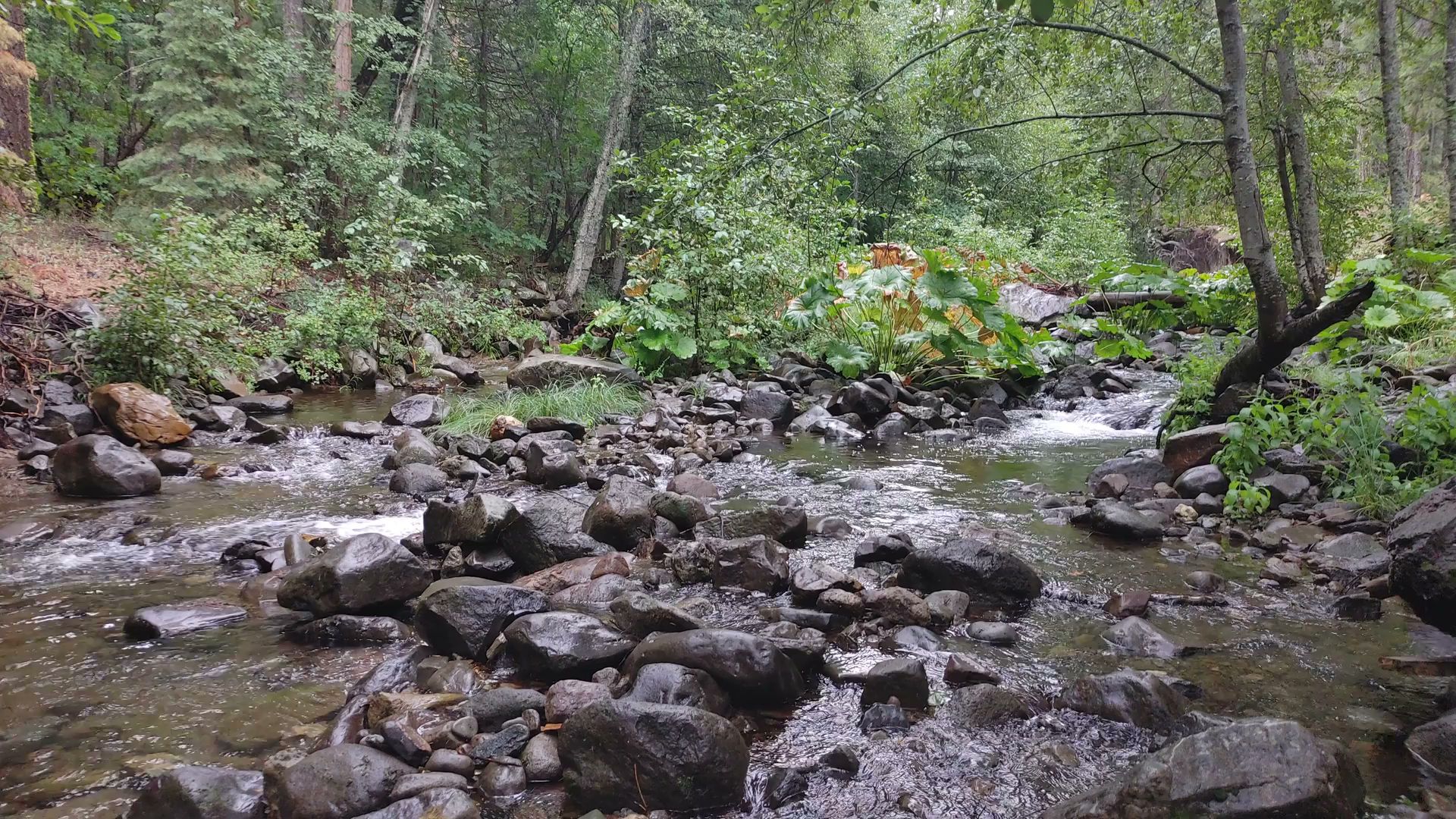 Rock Creek Campground