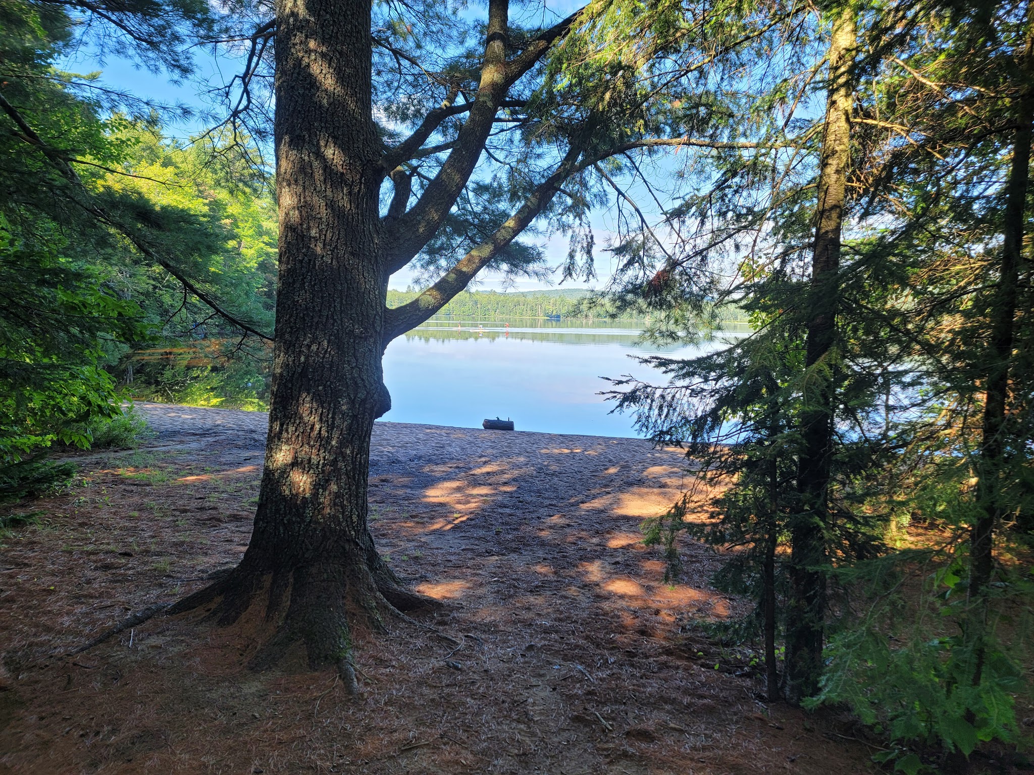 Rollins Pond Campground