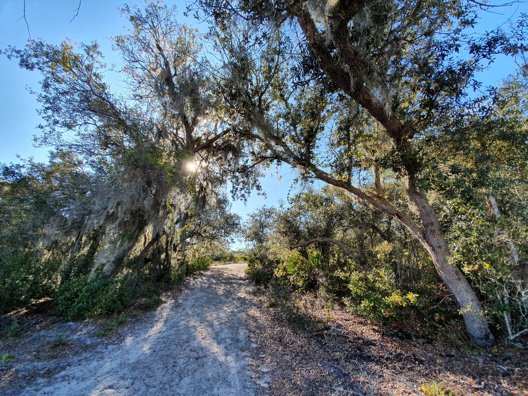 Catfish Creek Preserve State Park Campground