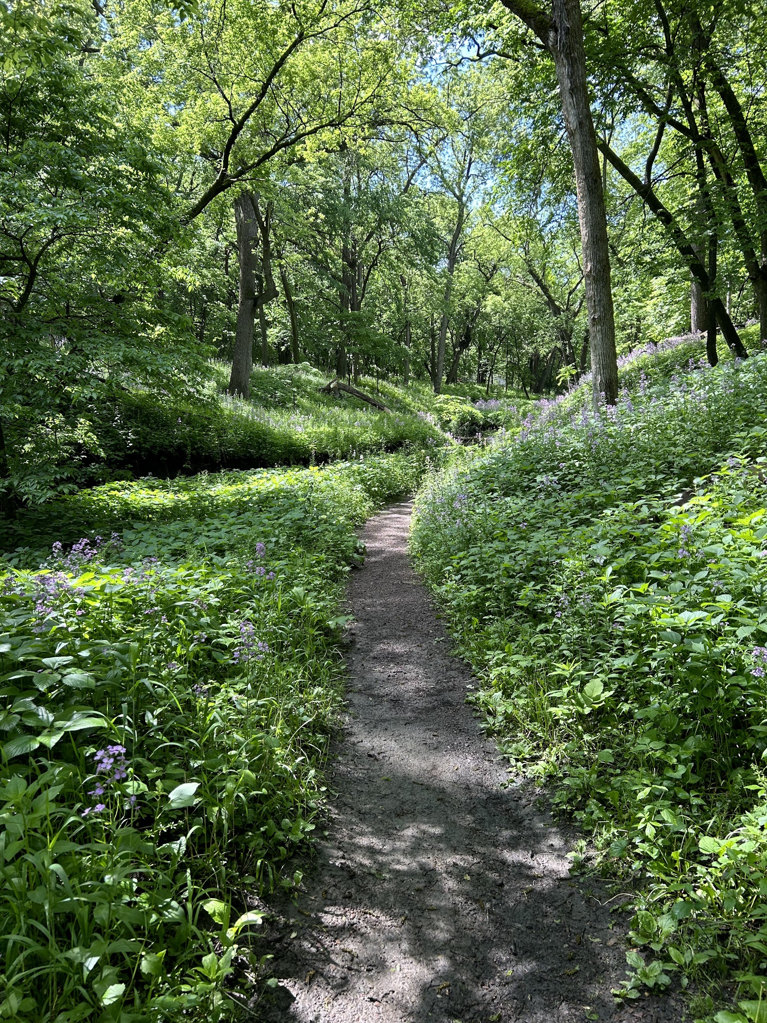 Semi-Modern Campground
