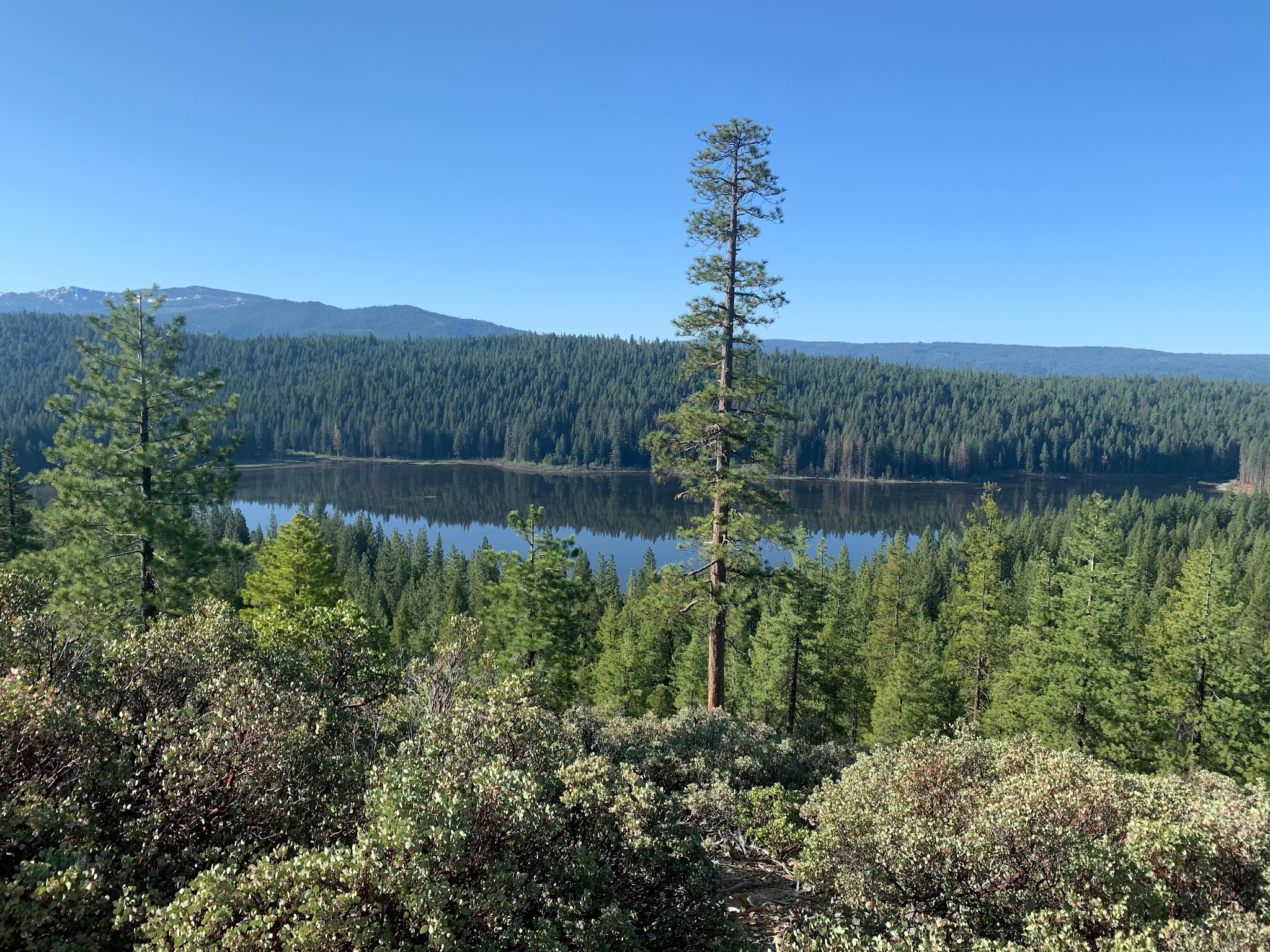 Snake Lake Campground And Equestrian Camp