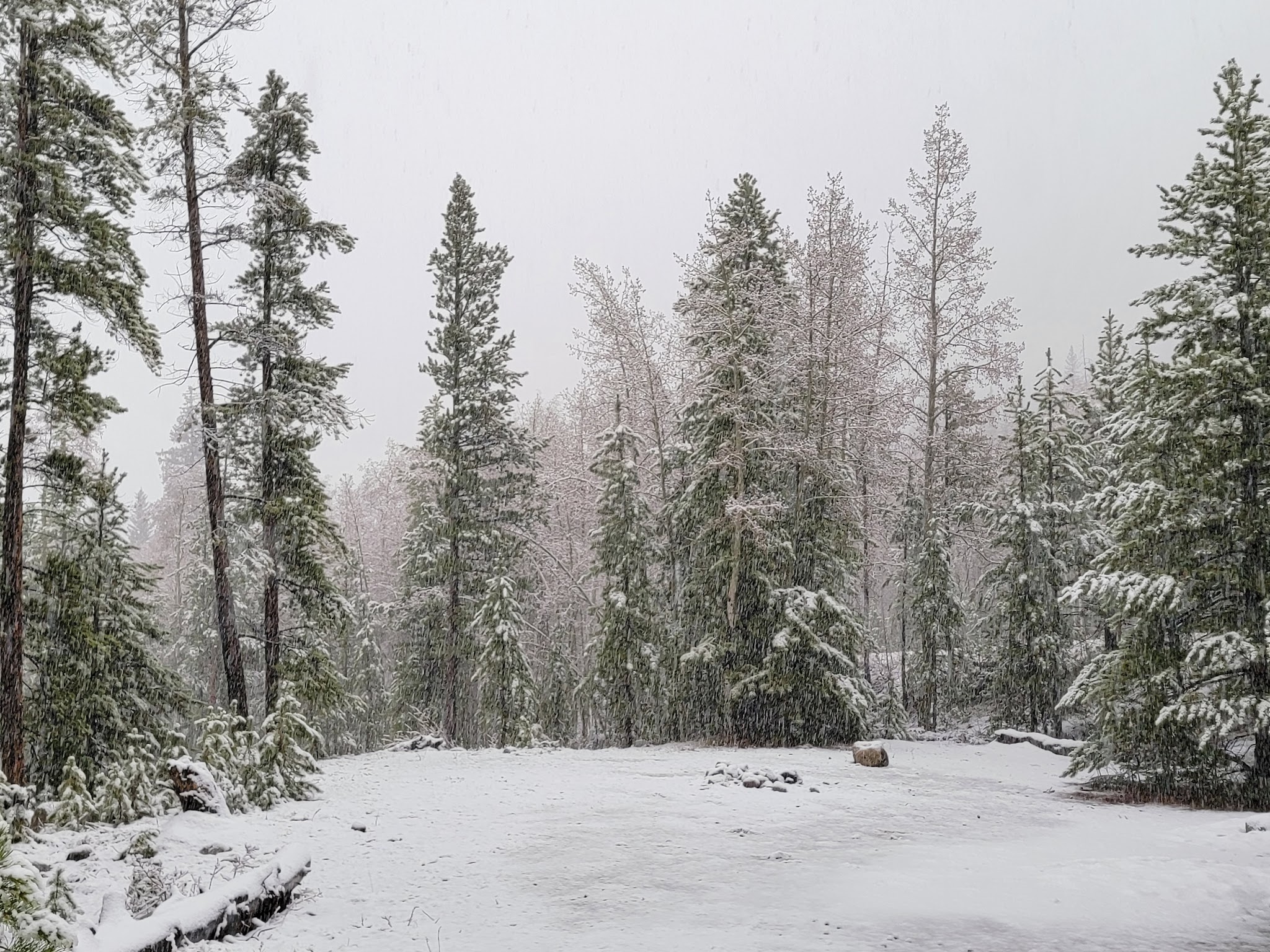 Aspen Glen Campground