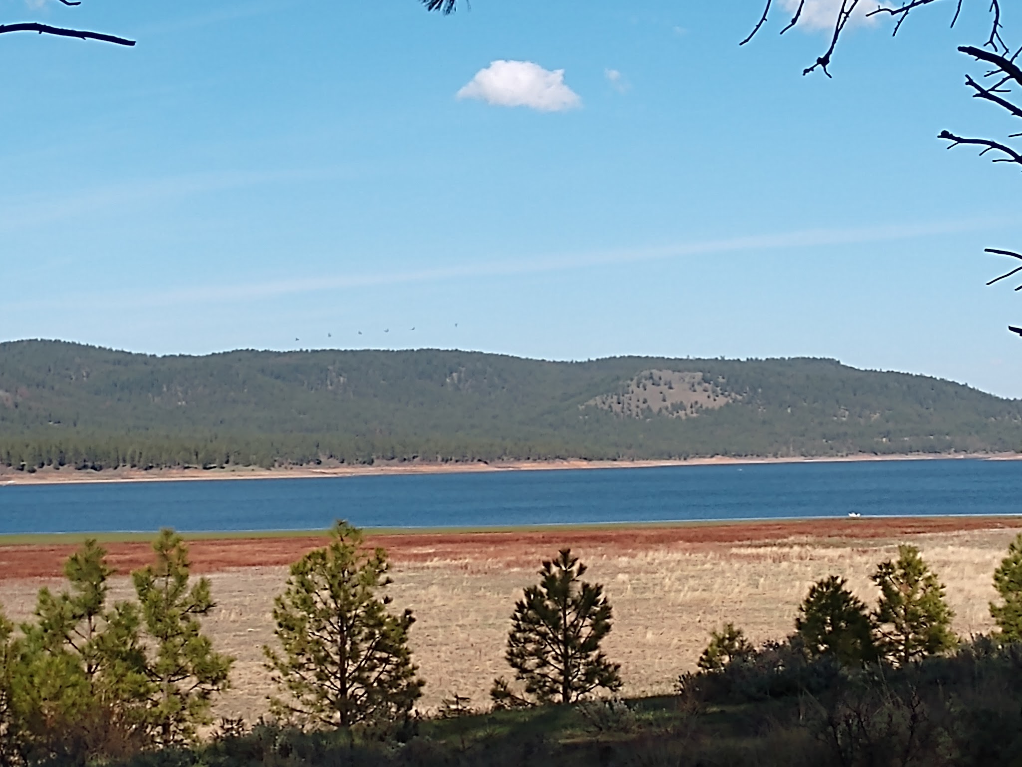 Southwest Shore Campground