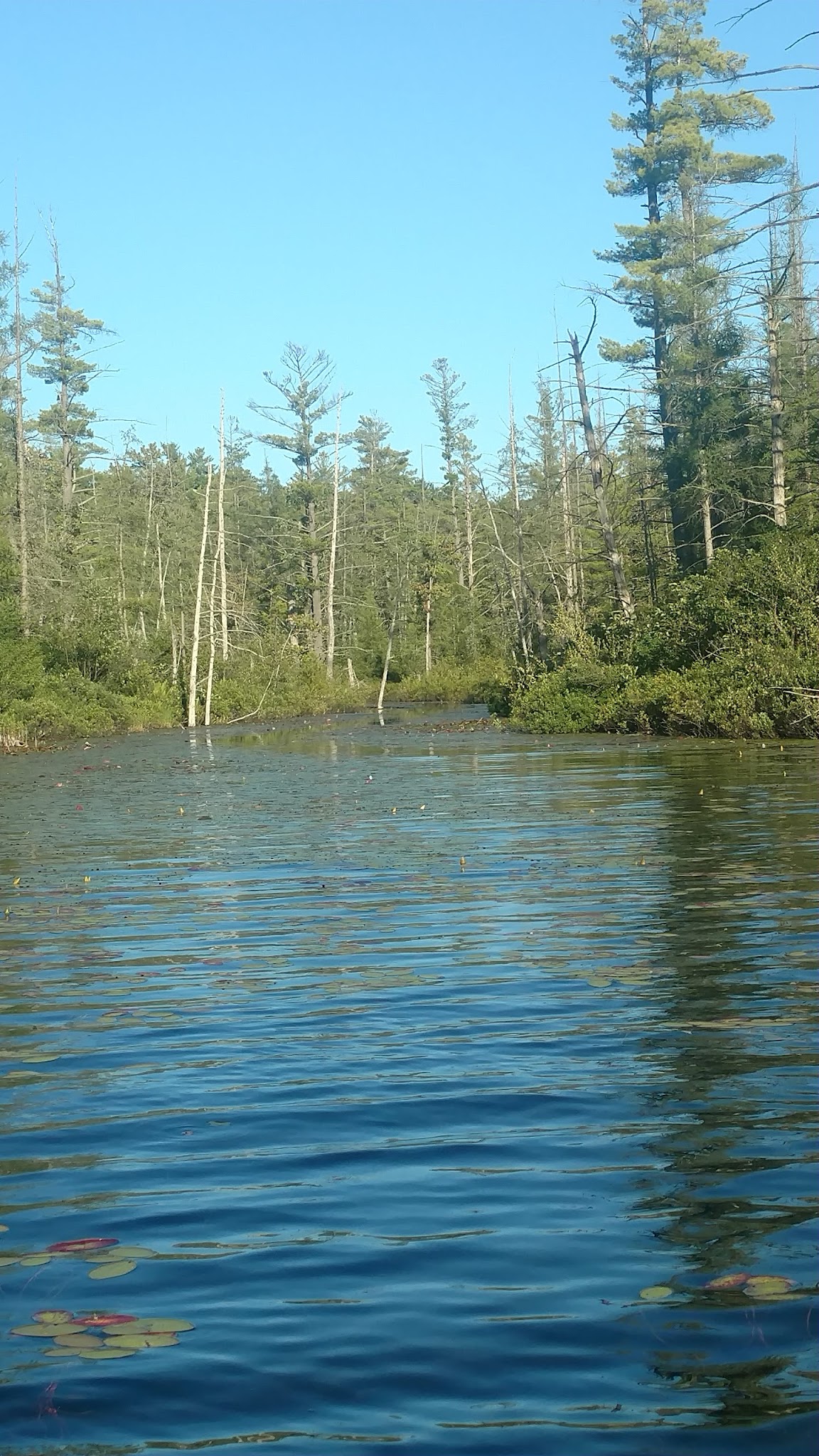 Spring Lake State Forest Campground