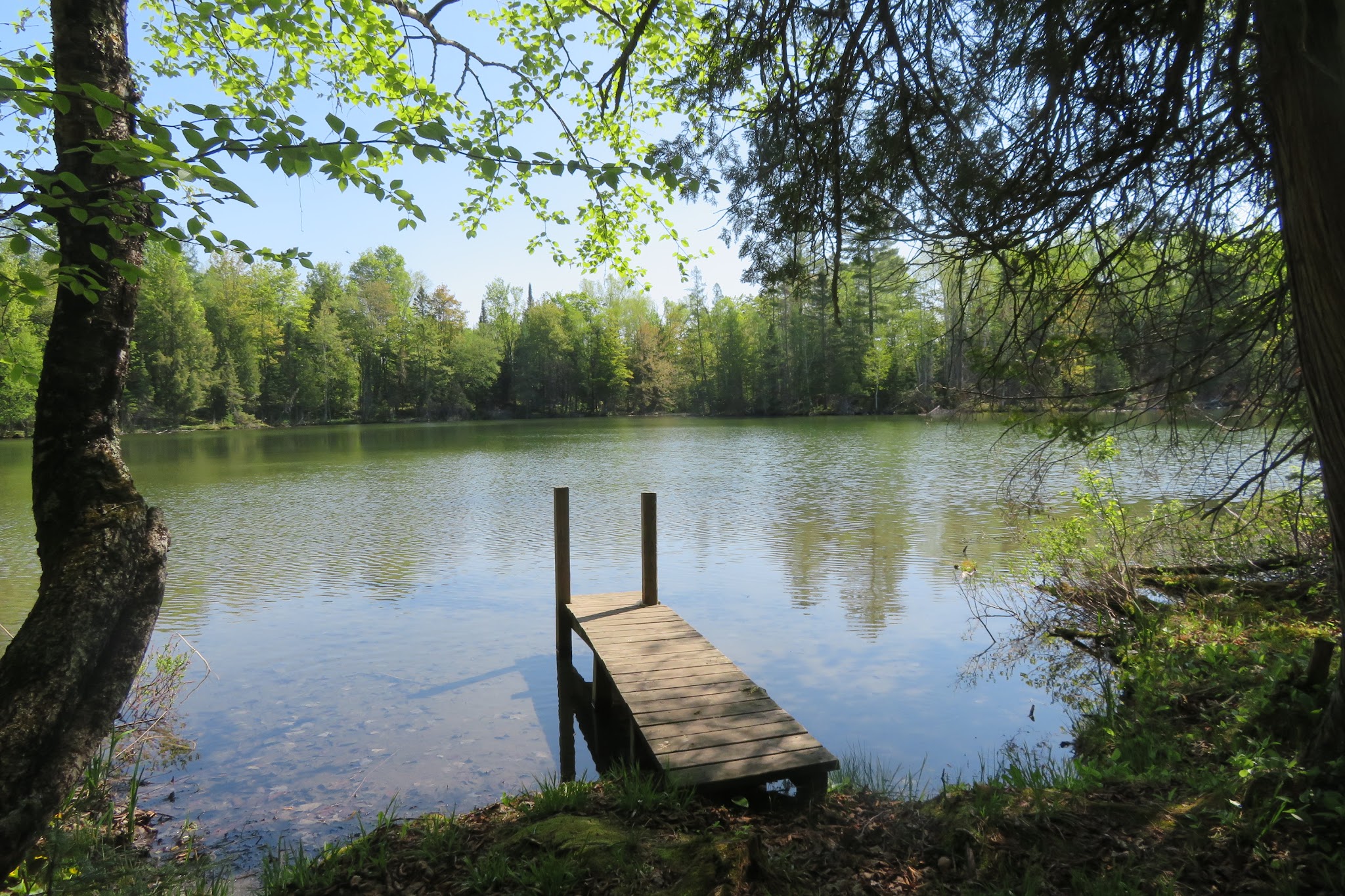 Ski-Kwe Zaag’Igan State Forest Campground