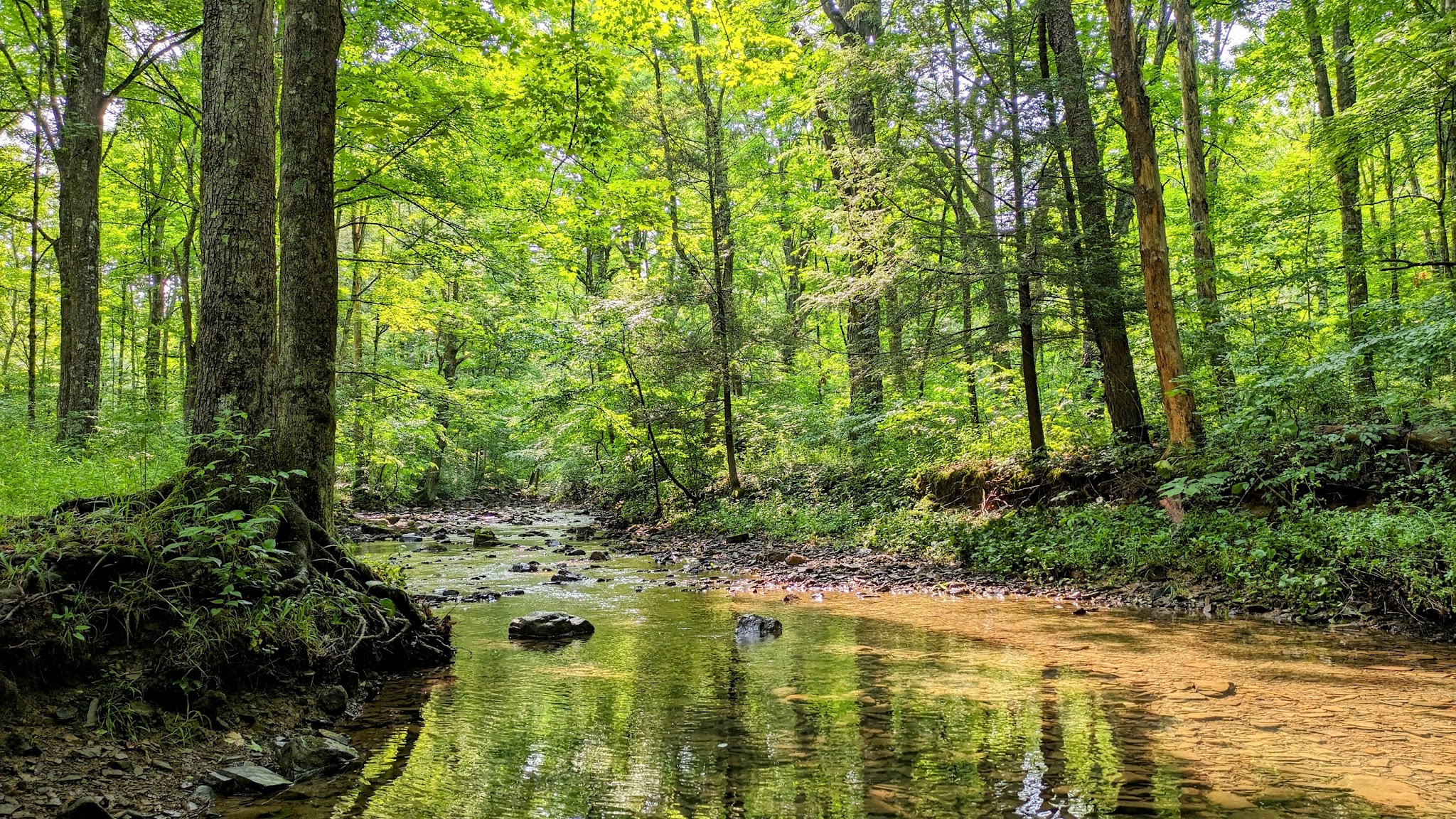 Stony Fork Campground