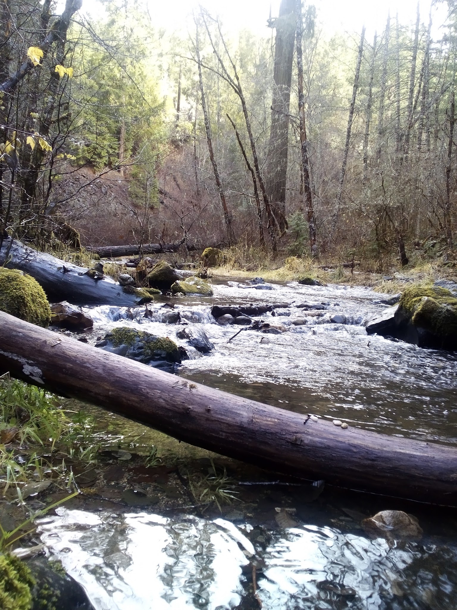 Devil'S Flat Campground