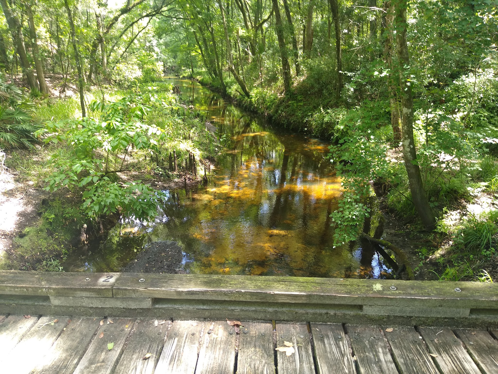 Etoniah Creek State Forest Green Camp