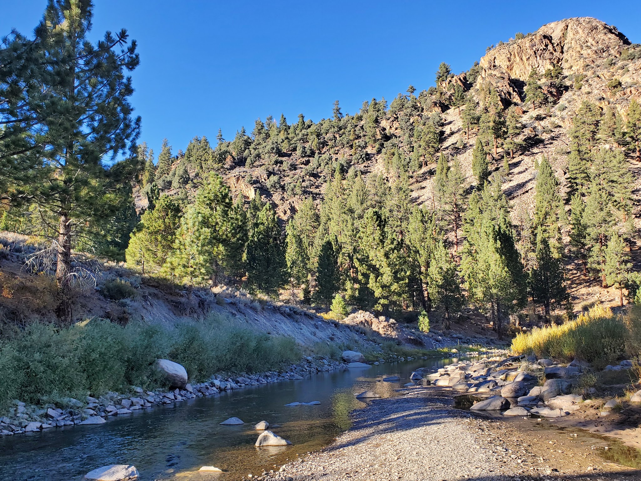 Sonora Bridge Campground