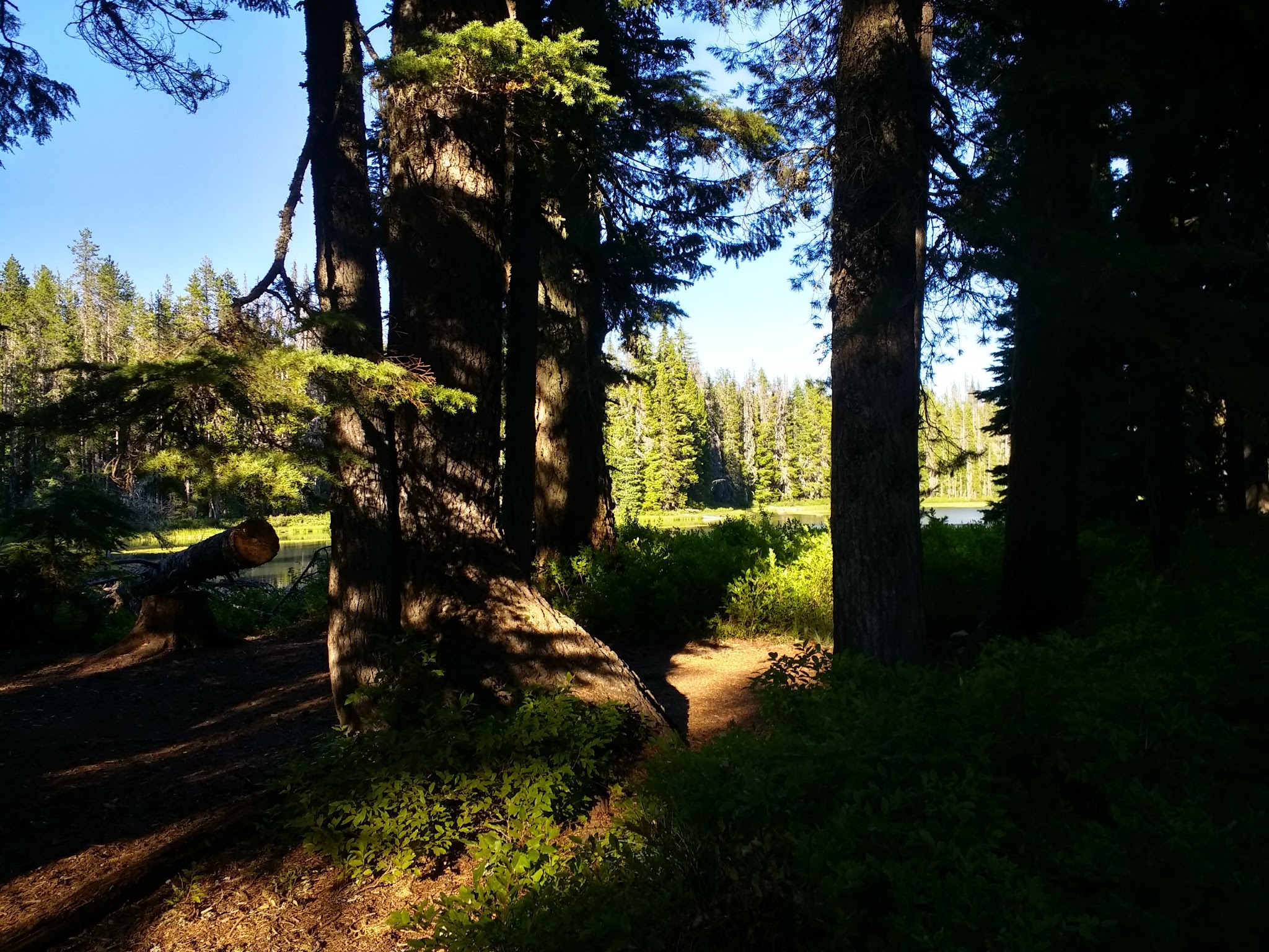 Summit Lake Campground
