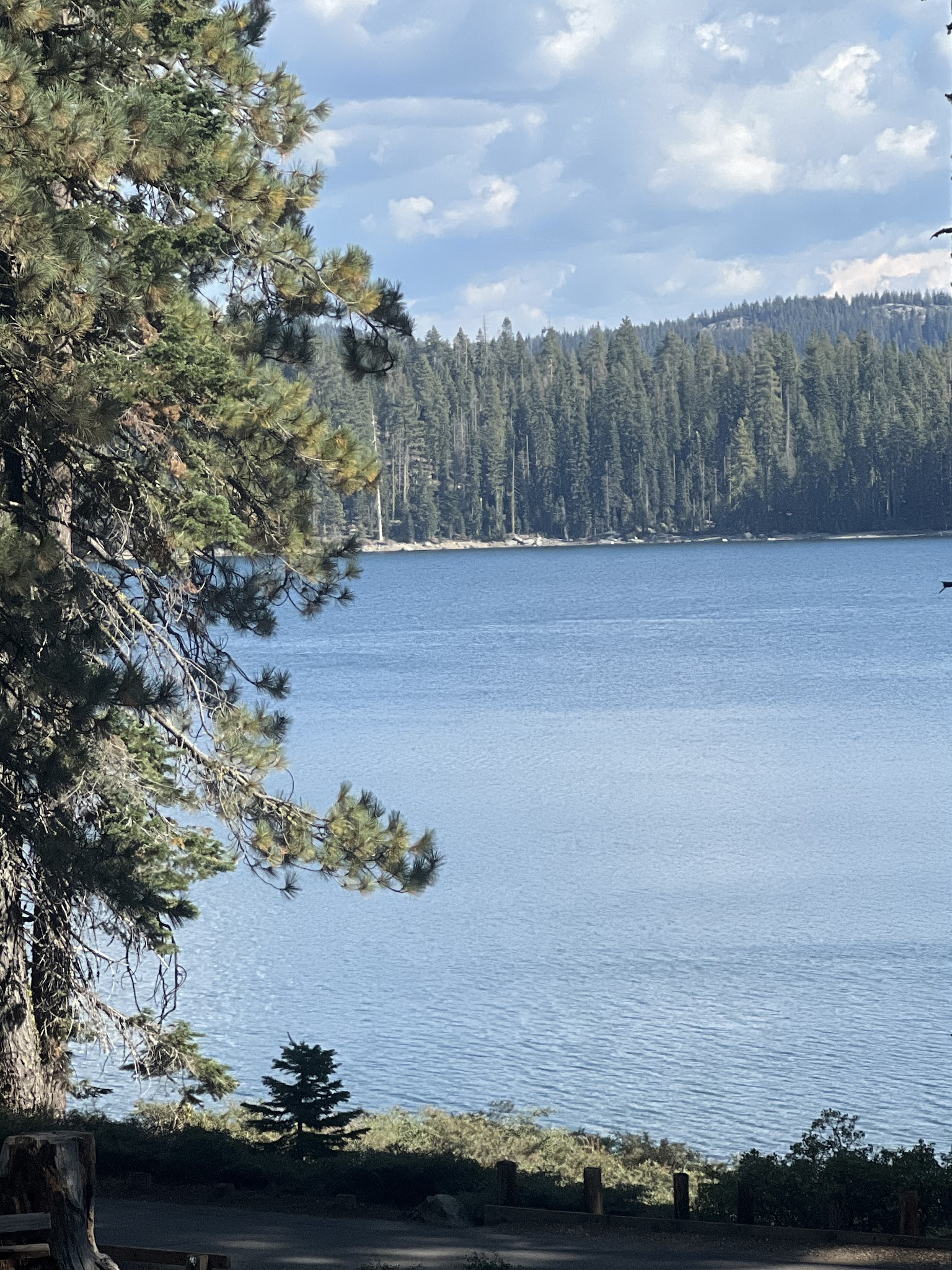Sundew Campground (Ca)