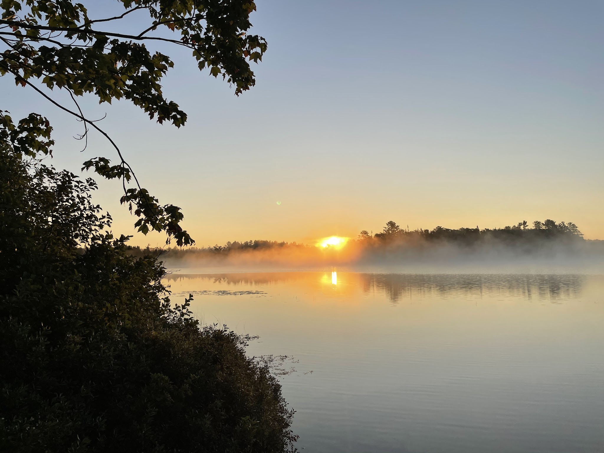 Ross Lake State Forest Campground