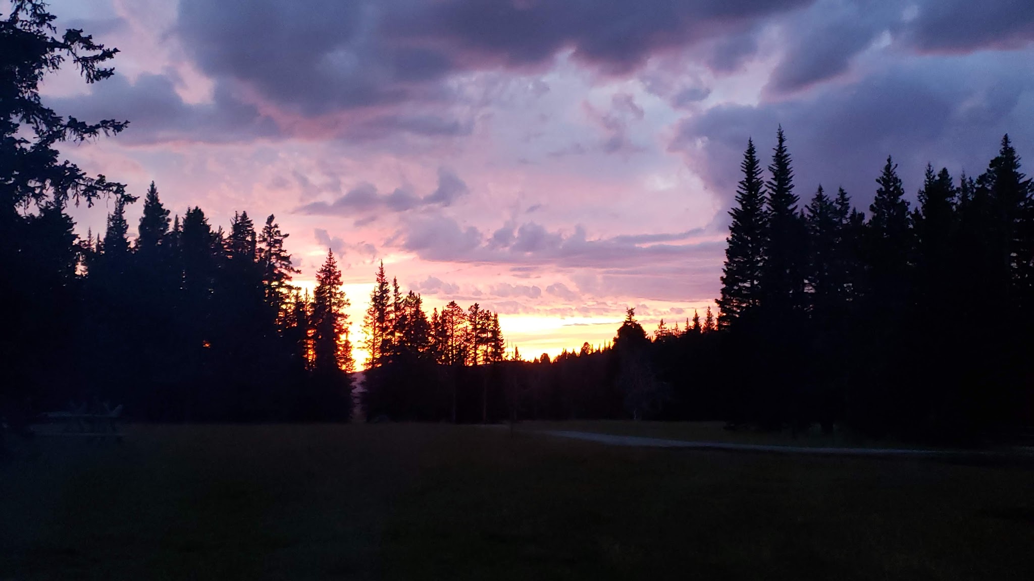 Clover Meadows Dispersed Camping And Picnic Area